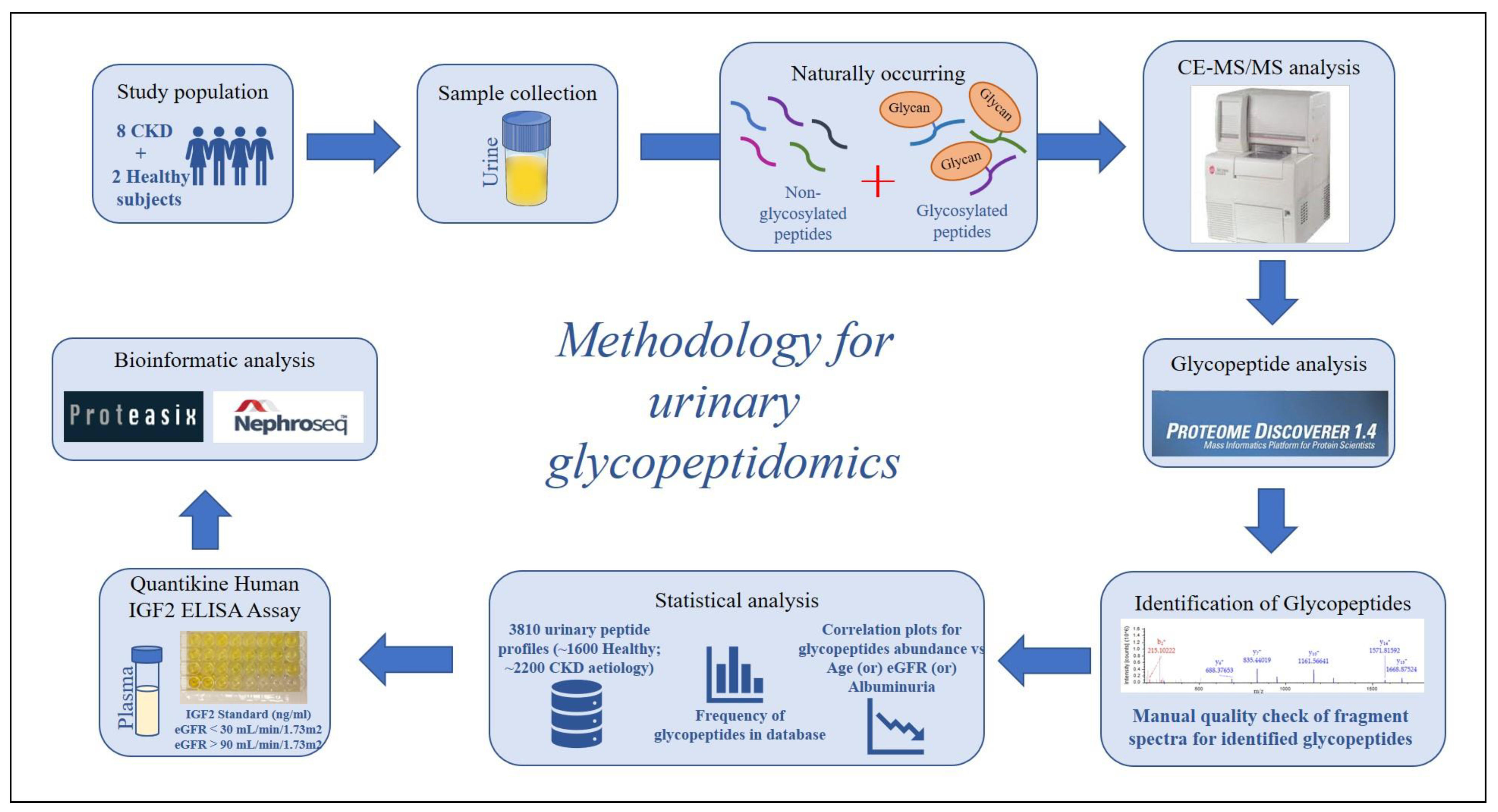 Ijms 24 05402 g001 Ijms 24 05402 g001