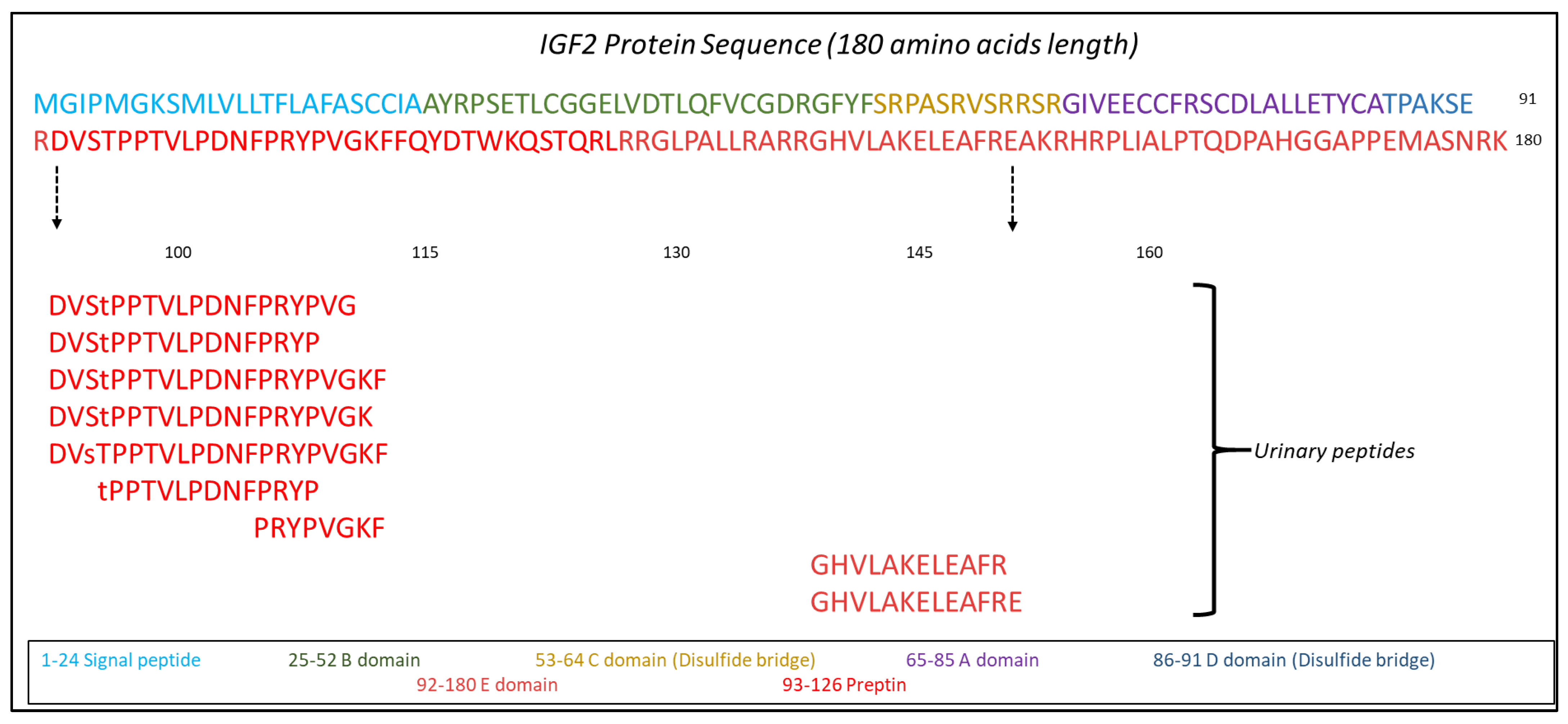 Ijms 24 05402 g003 Ijms 24 05402 g003