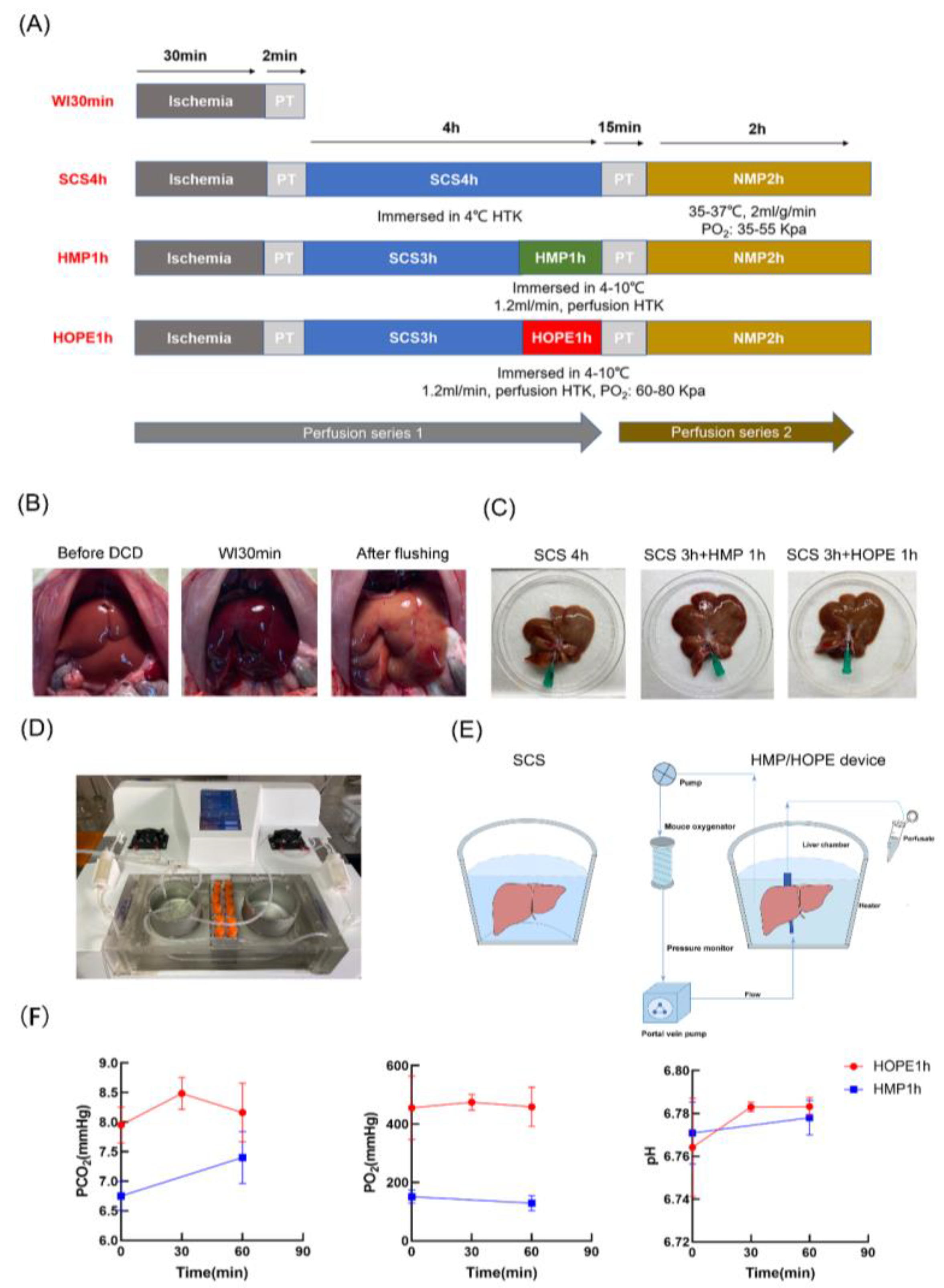 Ijms 24 05403 g001 Ijms 24 05403 g001