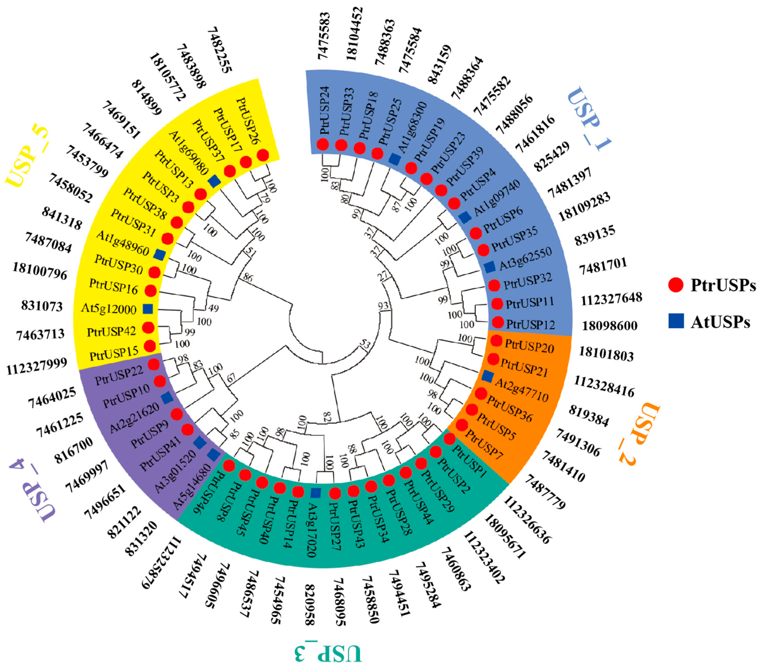 Ijms 24 05405 g001 Ijms 24 05405 g001