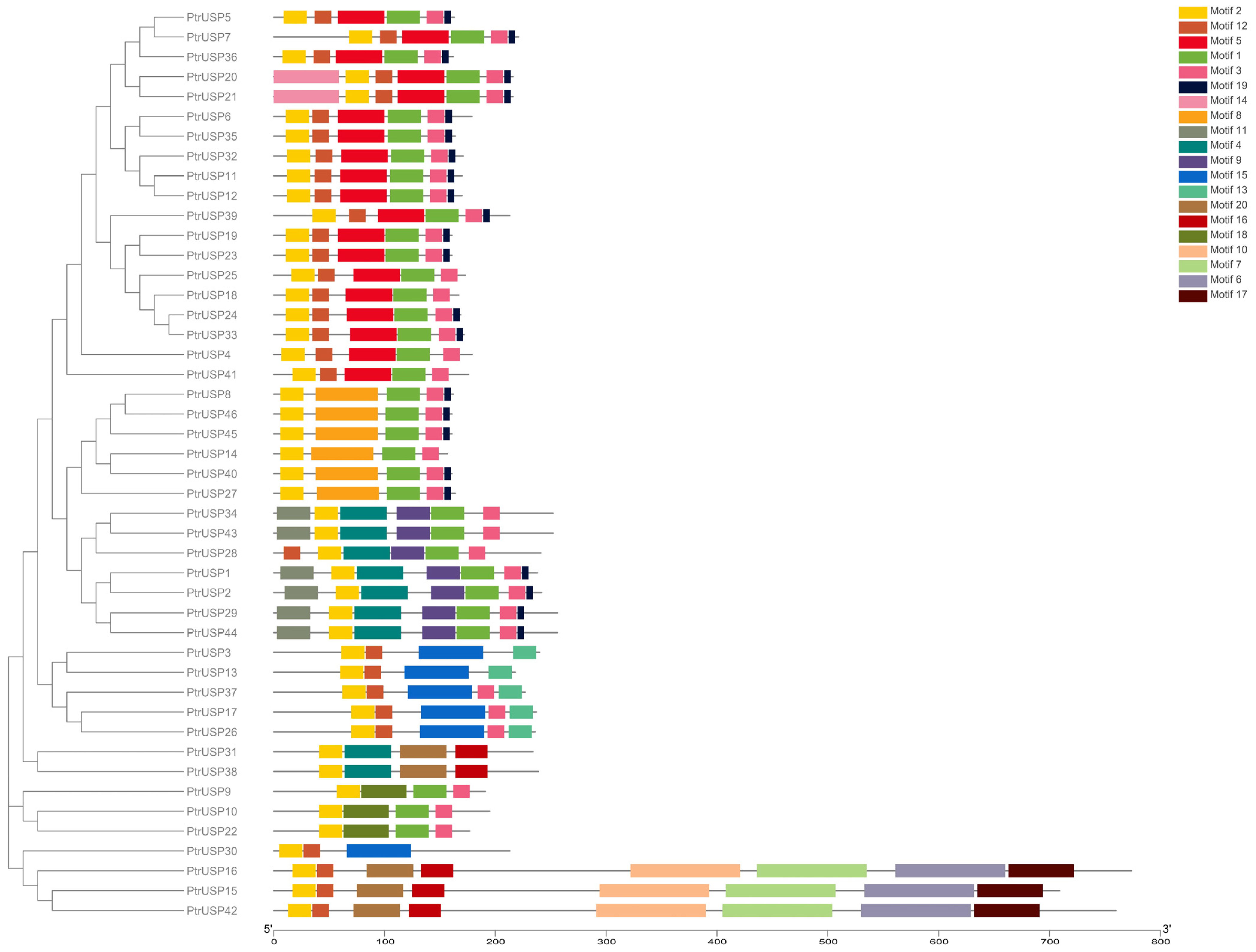 Ijms 24 05405 g003 Ijms 24 05405 g003
