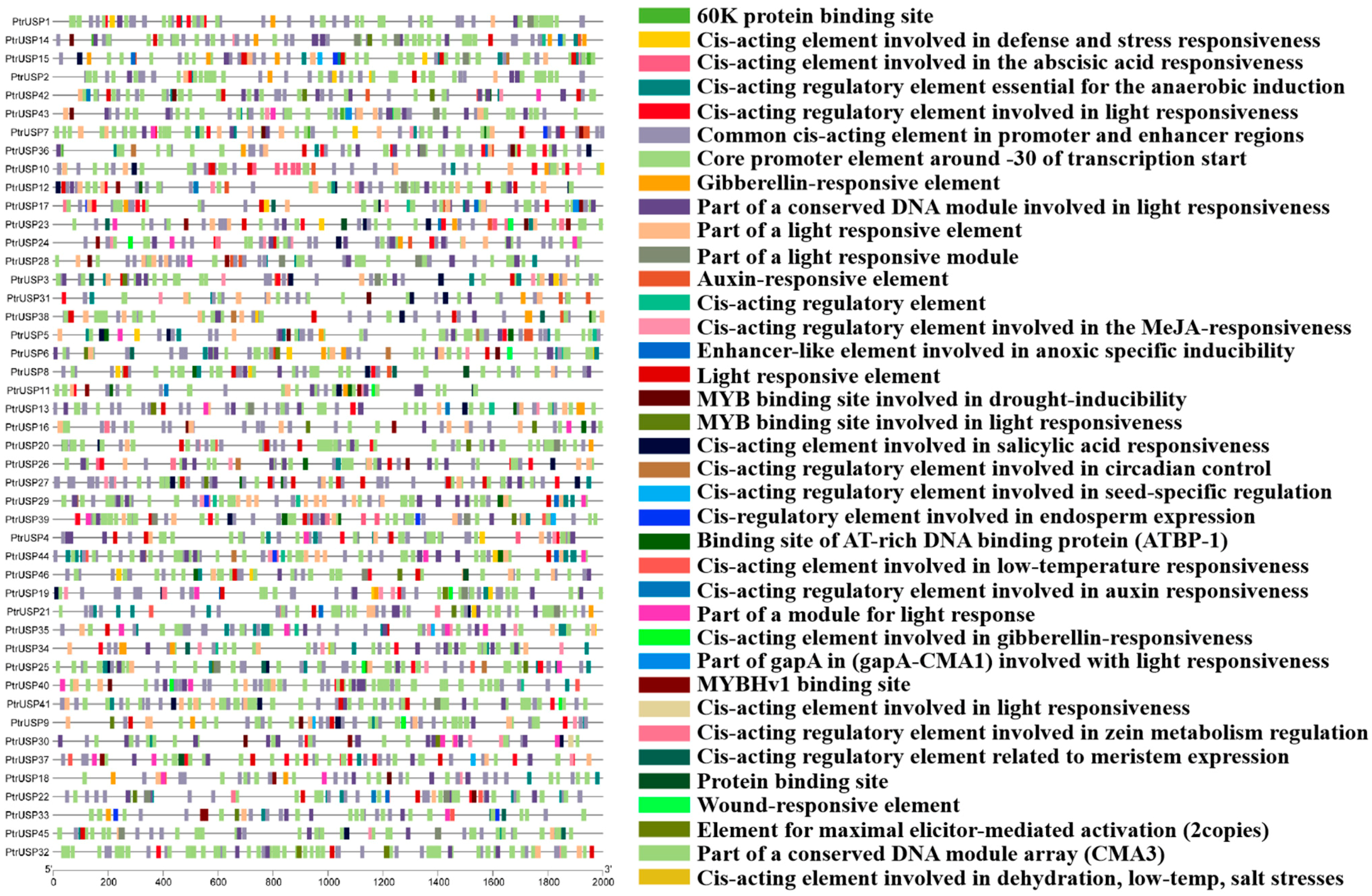 Ijms 24 05405 g004 Ijms 24 05405 g004
