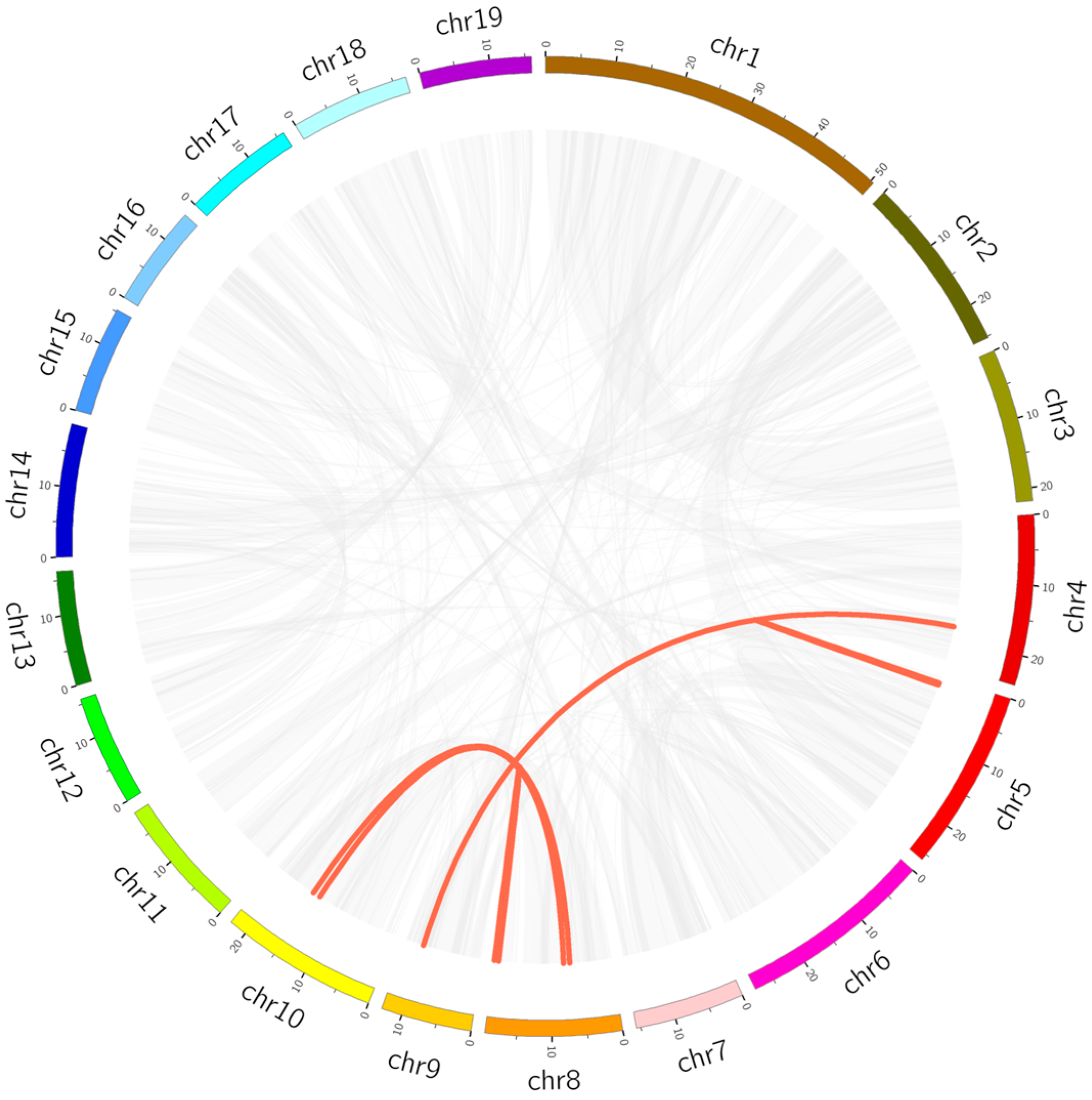 Ijms 24 05405 g006 Ijms 24 05405 g006