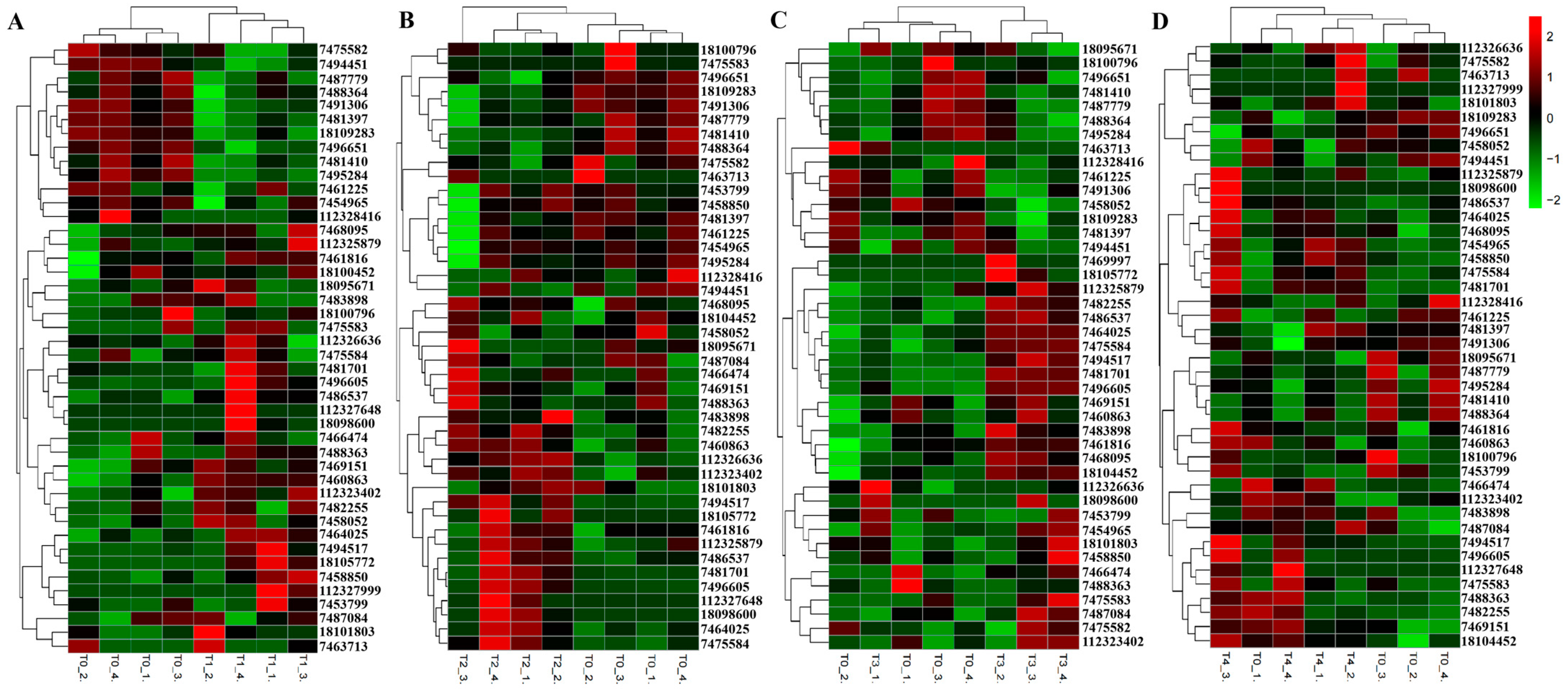 Ijms 24 05405 g010 Ijms 24 05405 g010