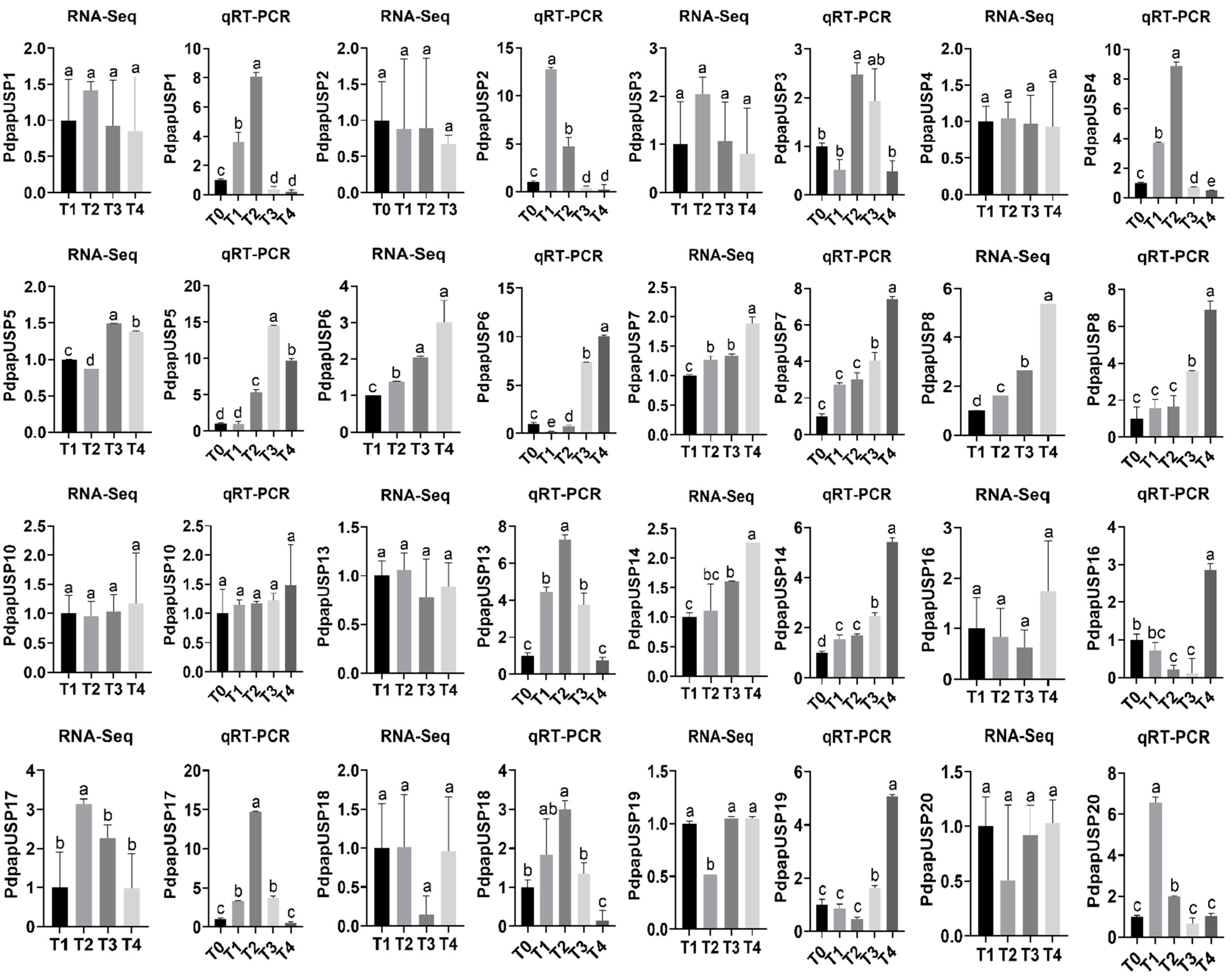 Ijms 24 05405 g011a Ijms 24 05405 g011a