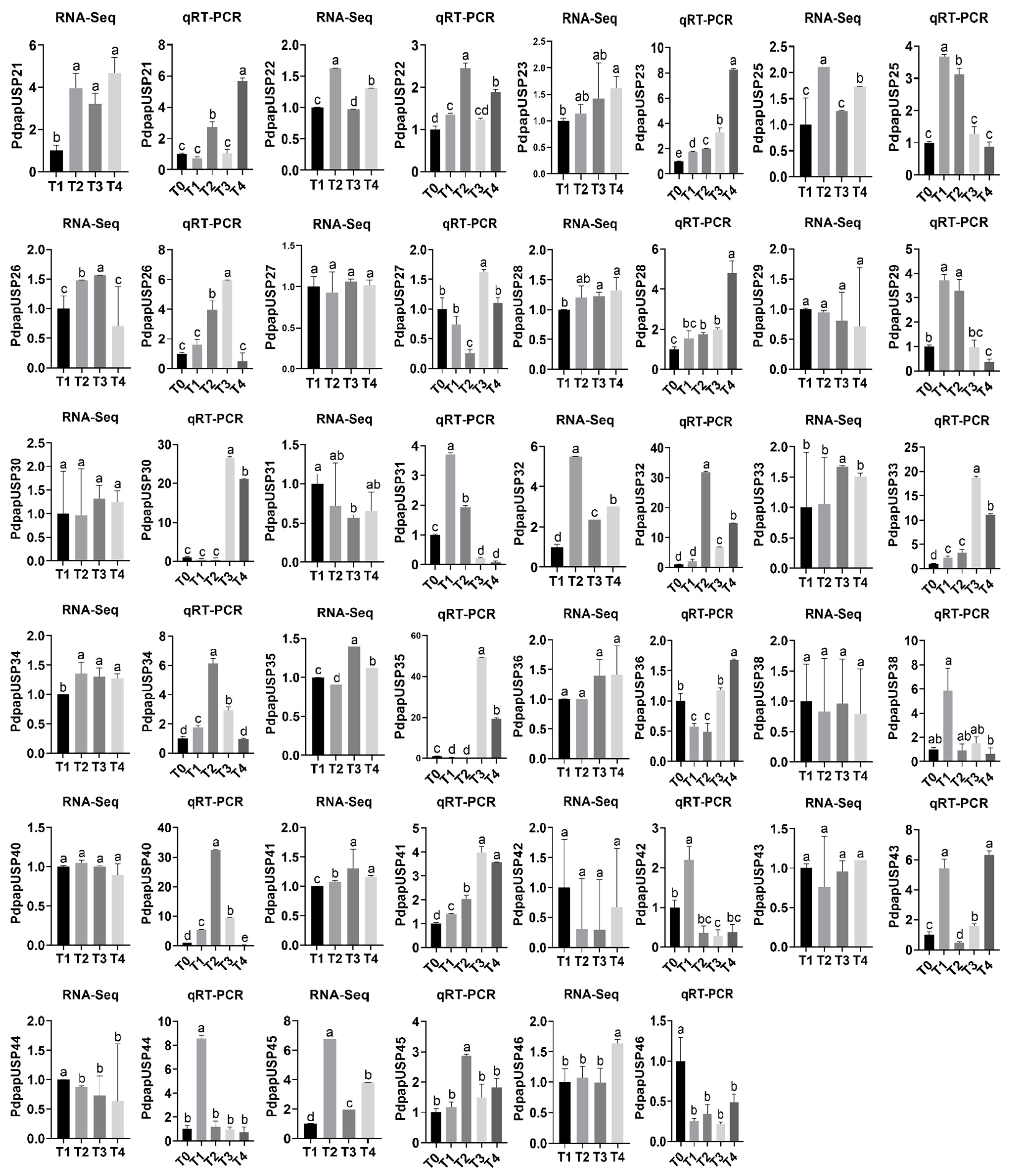 Ijms 24 05405 g011b Ijms 24 05405 g011b