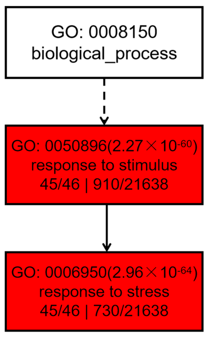 Ijms 24 05405 g013 Ijms 24 05405 g013