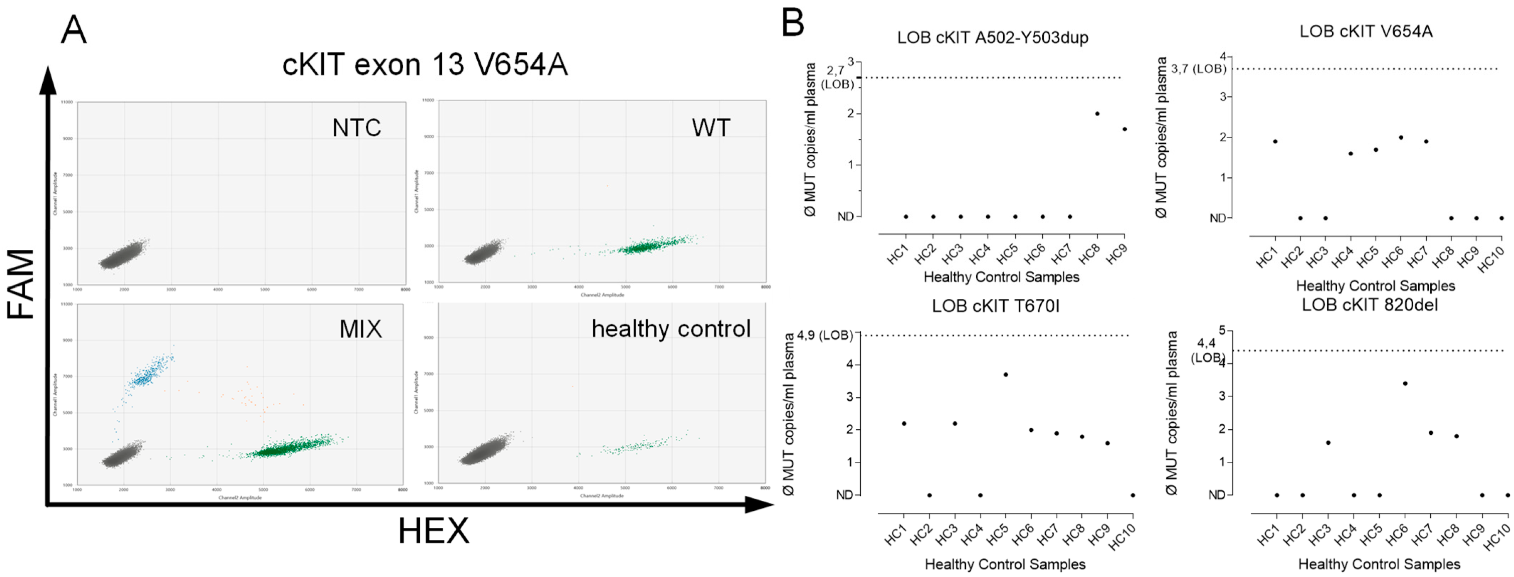 Ijms 24 05411 g003 Ijms 24 05411 g003