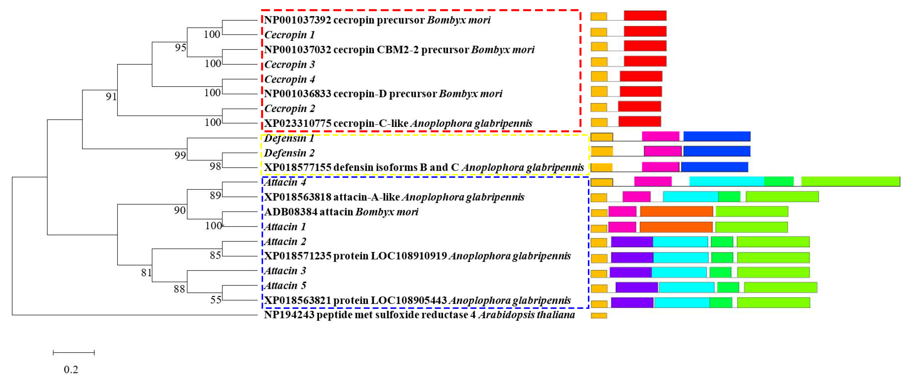 種類豊富な品揃え Heterologous of Determination Bioactivity and Expression 野球