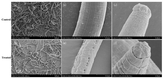 Heterologous Expression and Bioactivity Determination of