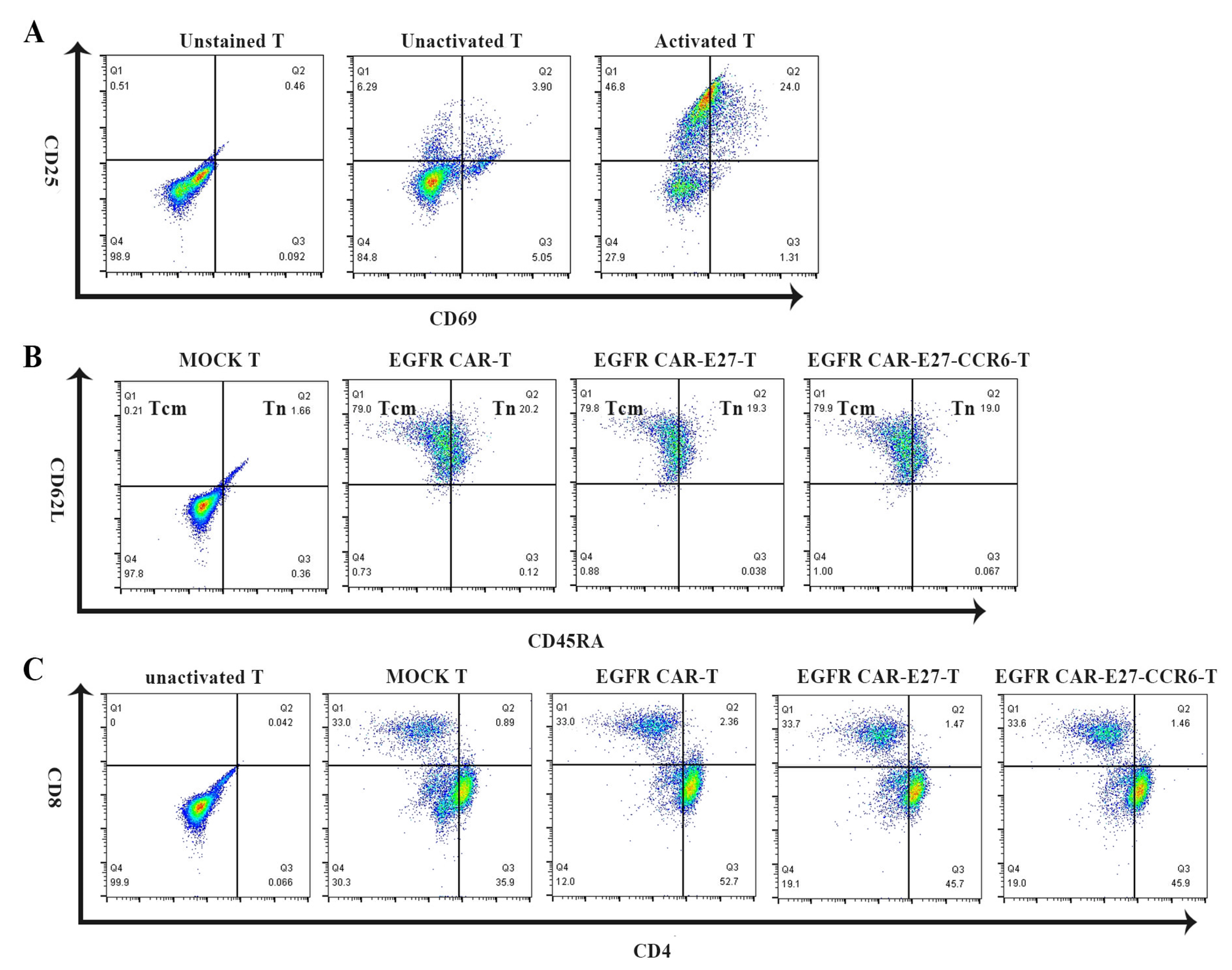 Ijms 24 05424 g002 Ijms 24 05424 g002