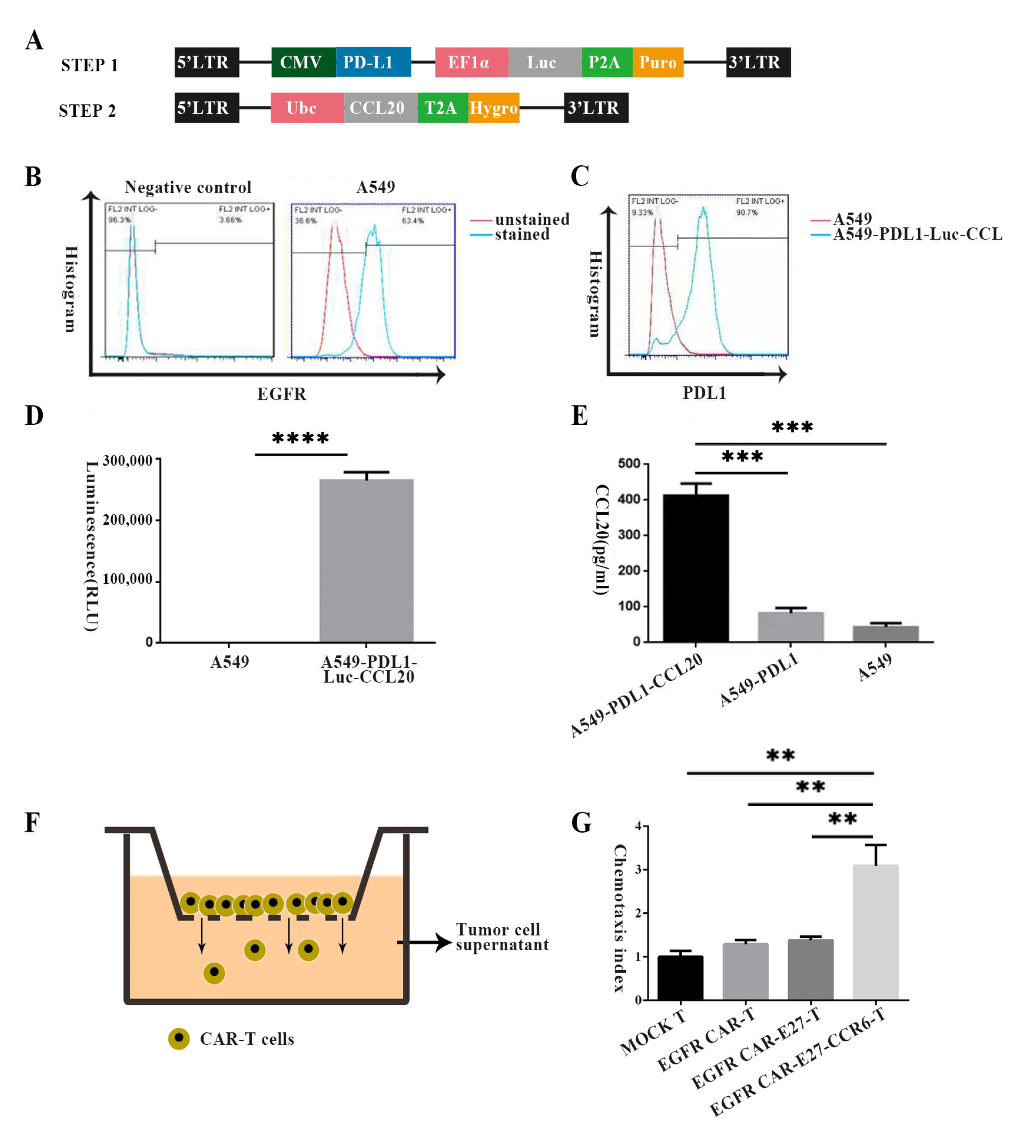 Ijms 24 05424 g003 Ijms 24 05424 g003
