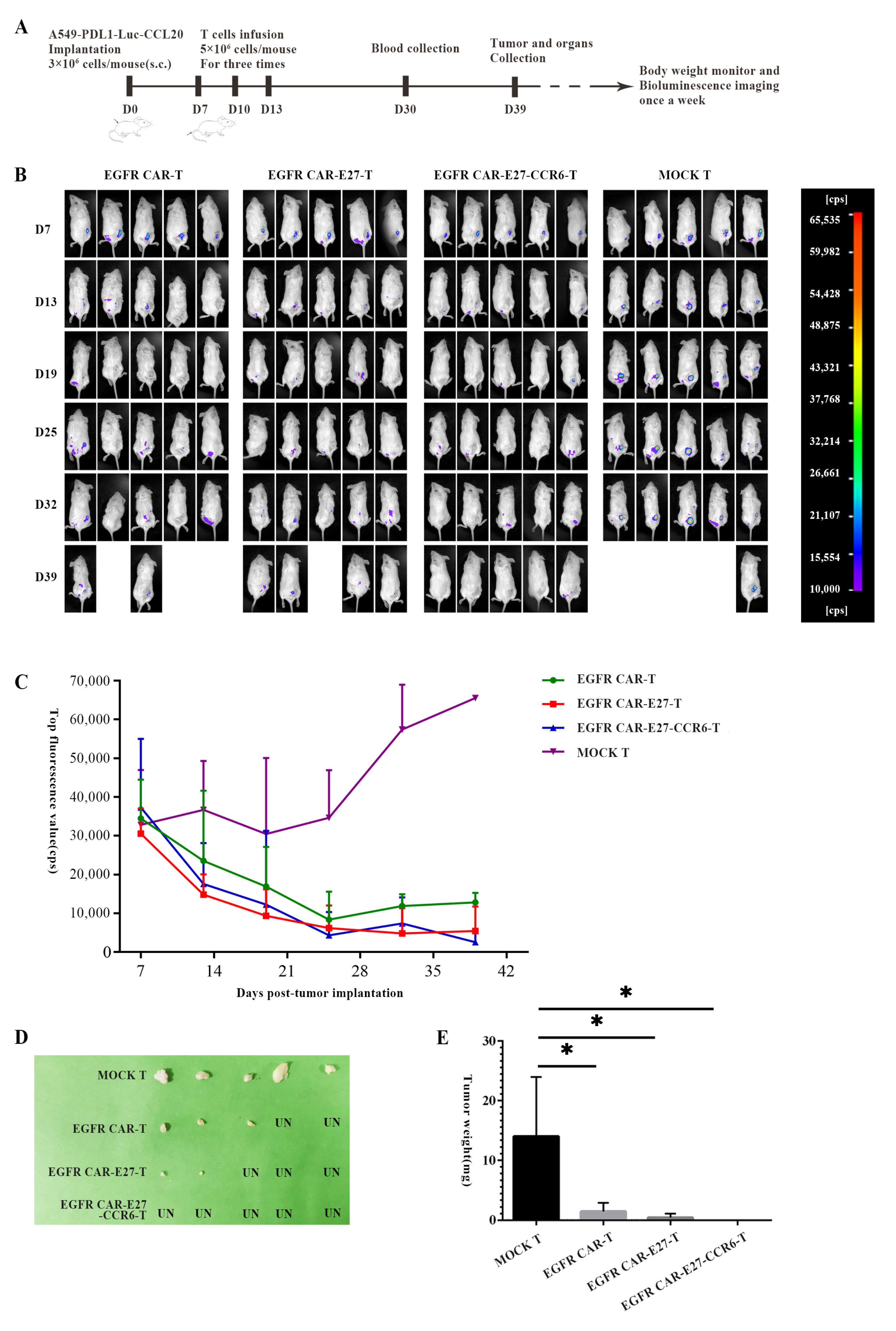 Ijms 24 05424 g005 Ijms 24 05424 g005