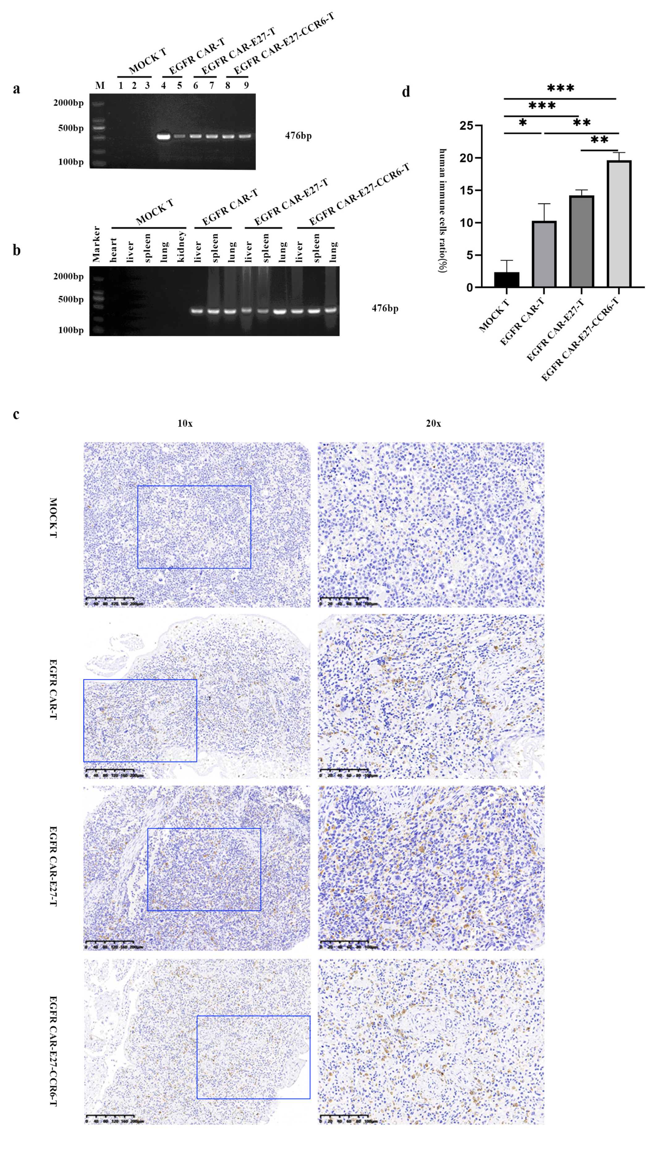 Ijms 24 05424 g006 Ijms 24 05424 g006