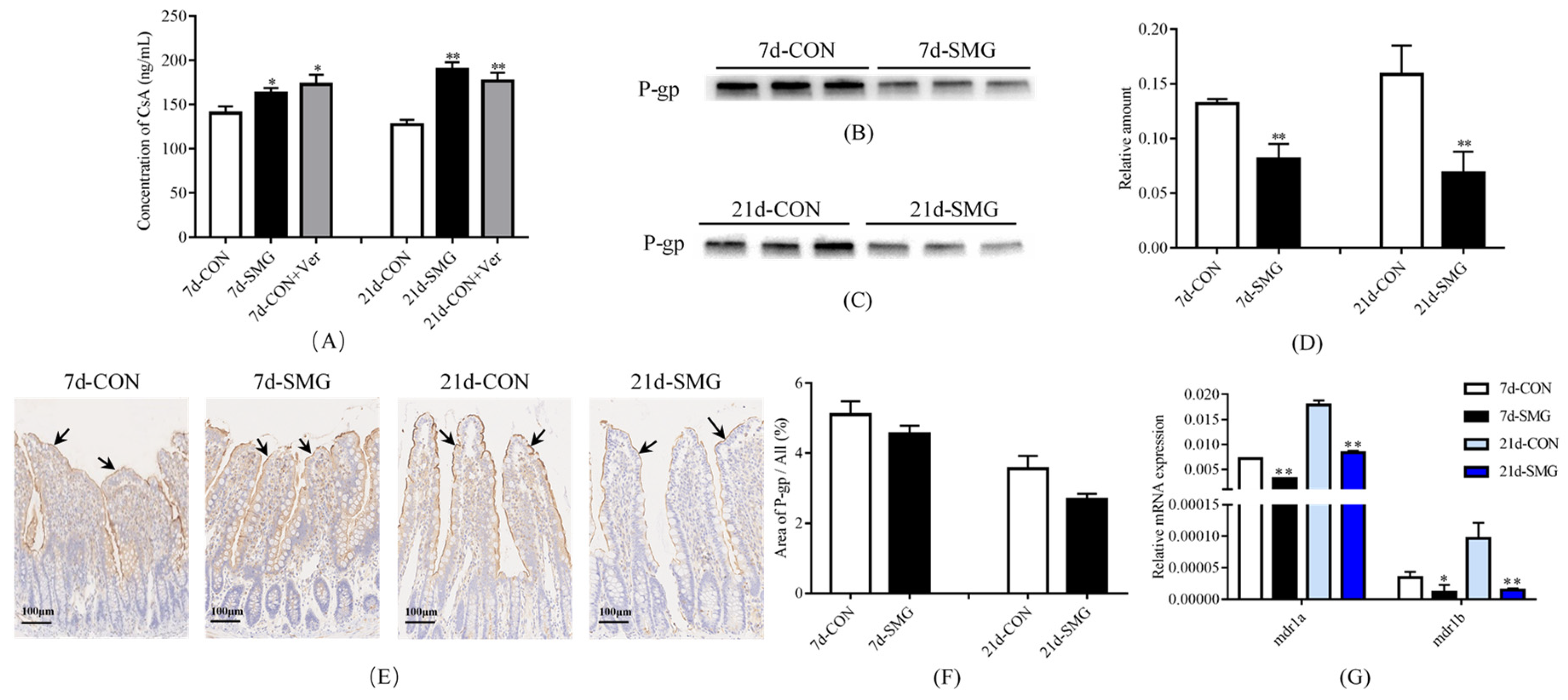 Ijms 24 05438 g001 Ijms 24 05438 g001