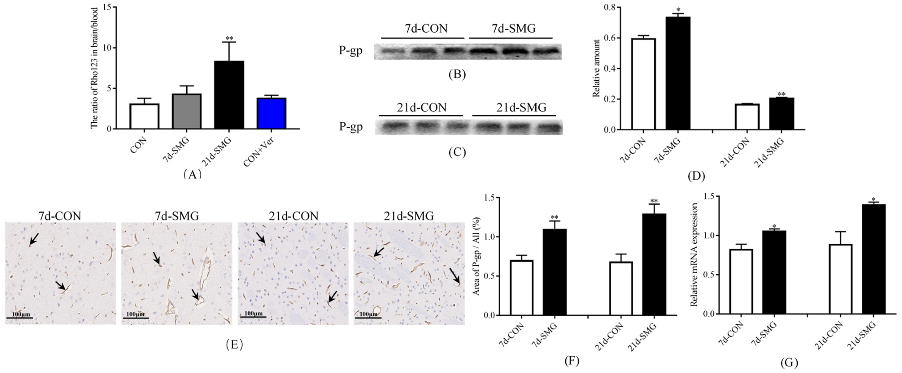 Ijms 24 05438 g003 Ijms 24 05438 g003