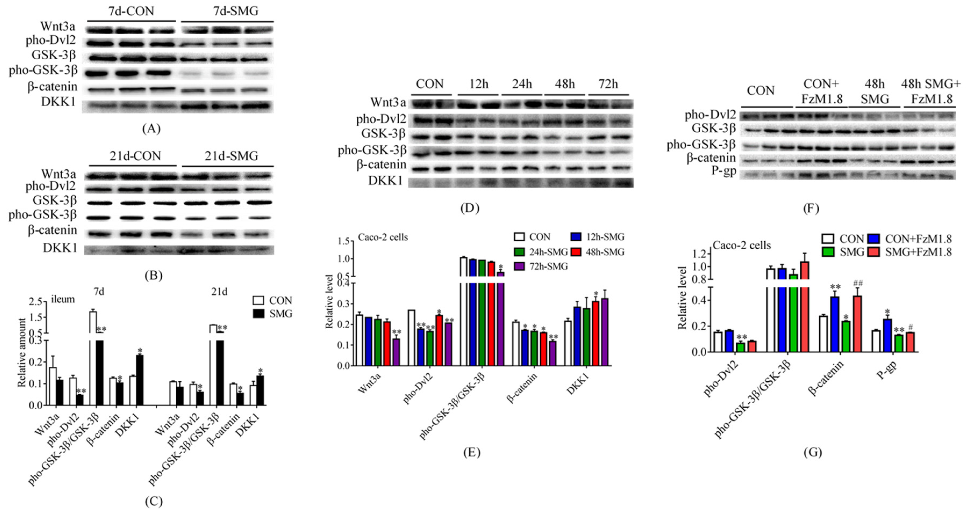 Ijms 24 05438 g005 Ijms 24 05438 g005