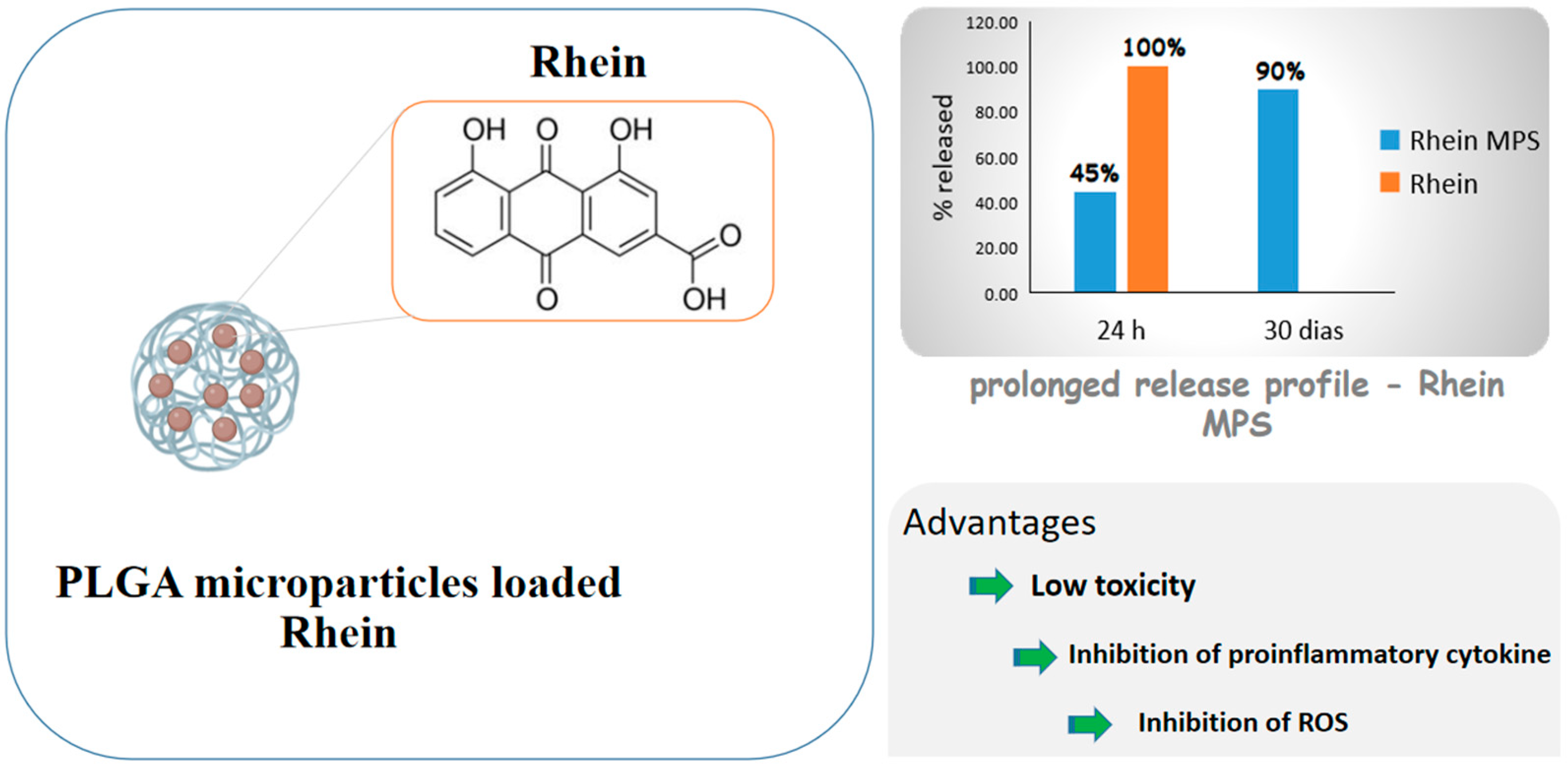 Ijms 24 05441 g005 Ijms 24 05441 g005