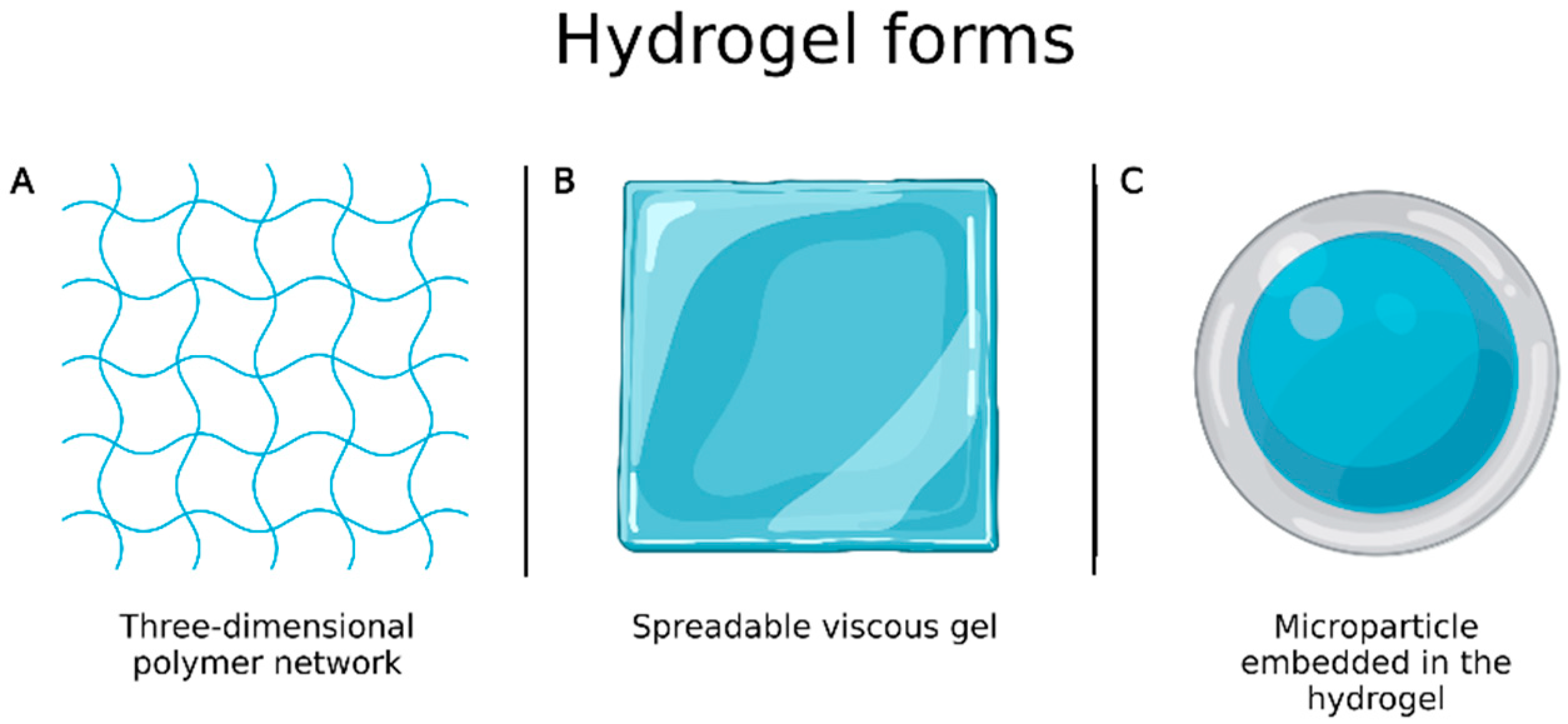 Ijms 24 05441 g006 Ijms 24 05441 g006