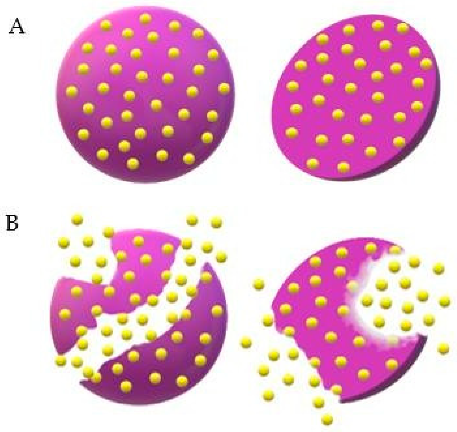 Ijms 24 05441 g008 Ijms 24 05441 g008