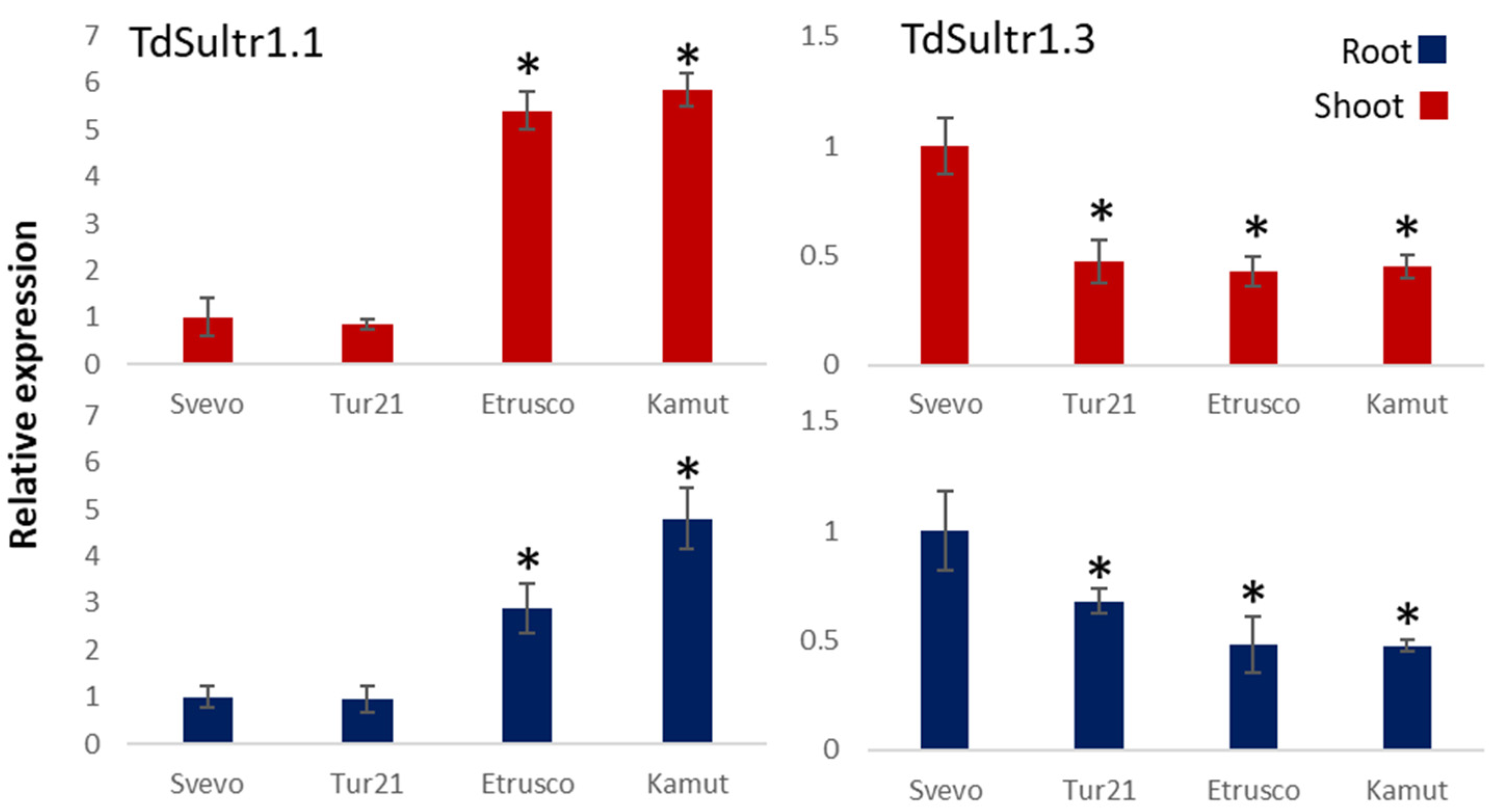 Ijms 24 05443 g003 Ijms 24 05443 g003