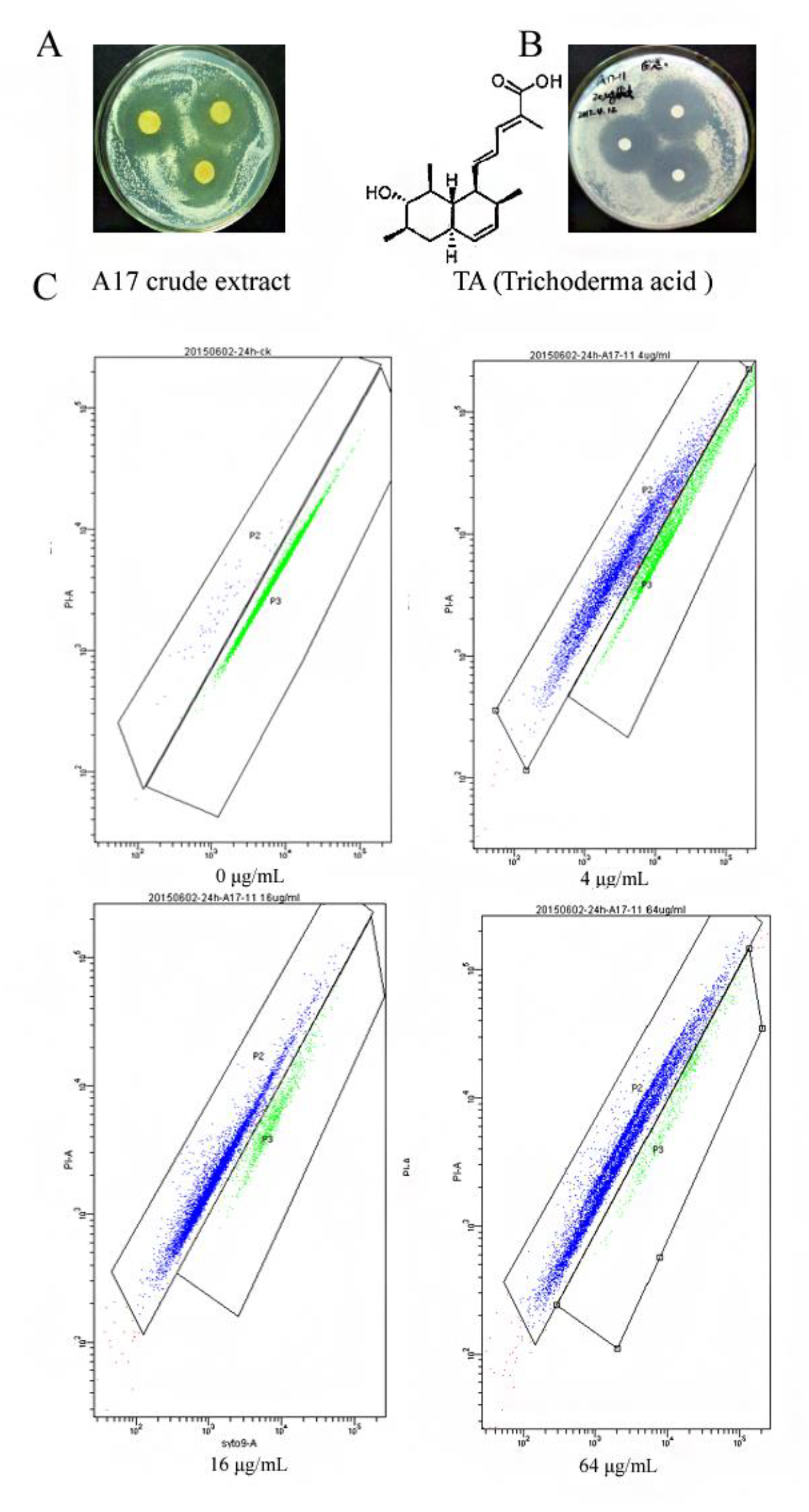 Ijms 24 05445 g001 Ijms 24 05445 g001