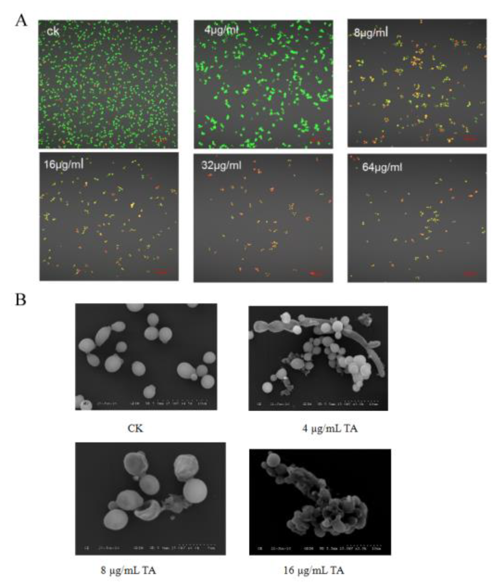 Ijms 24 05445 g002 Ijms 24 05445 g002