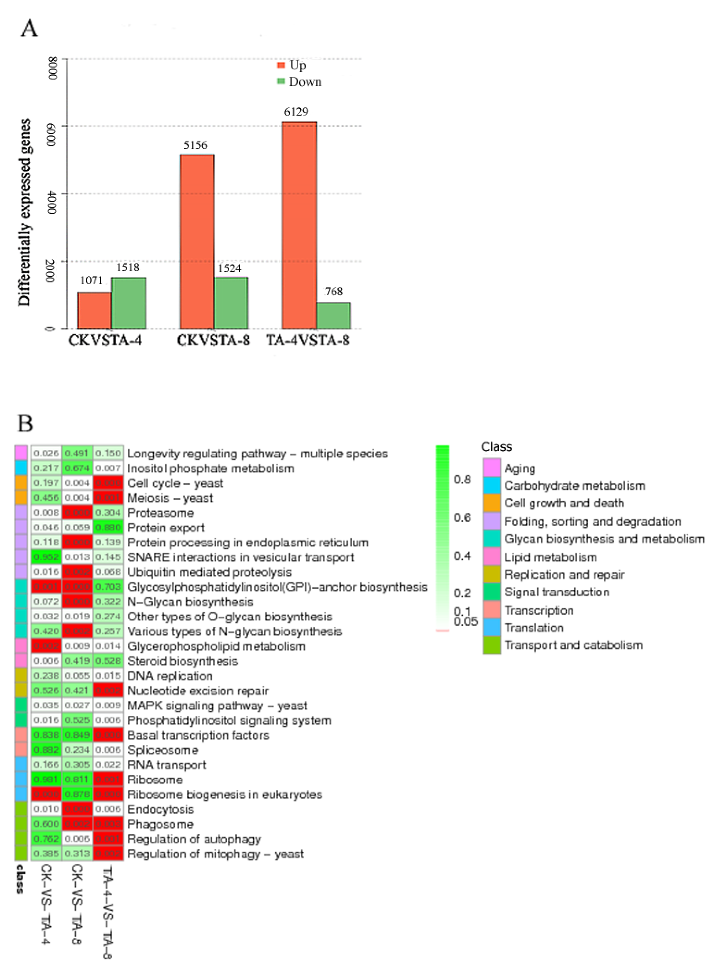 Ijms 24 05445 g004 Ijms 24 05445 g004