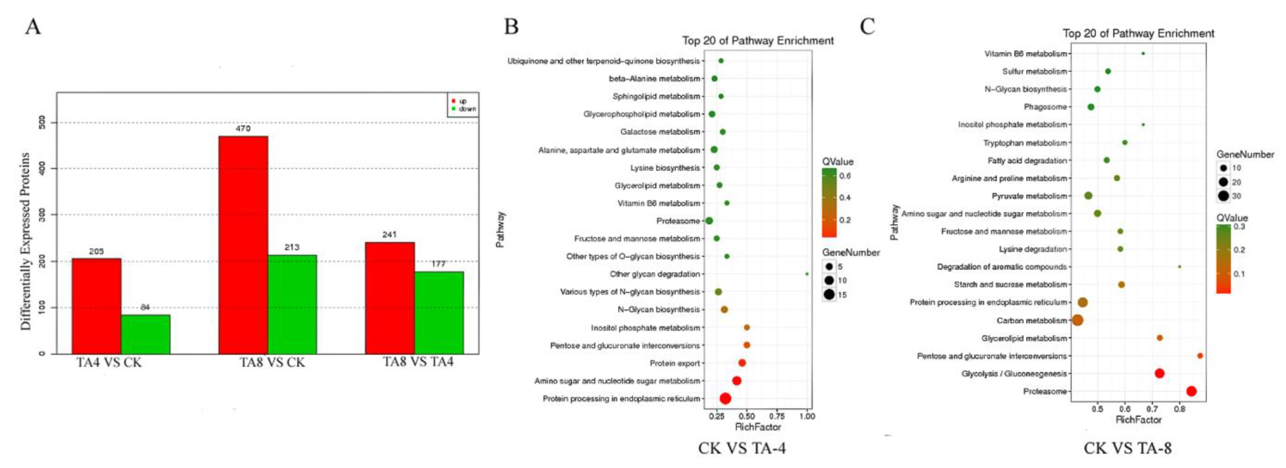 Ijms 24 05445 g005 Ijms 24 05445 g005
