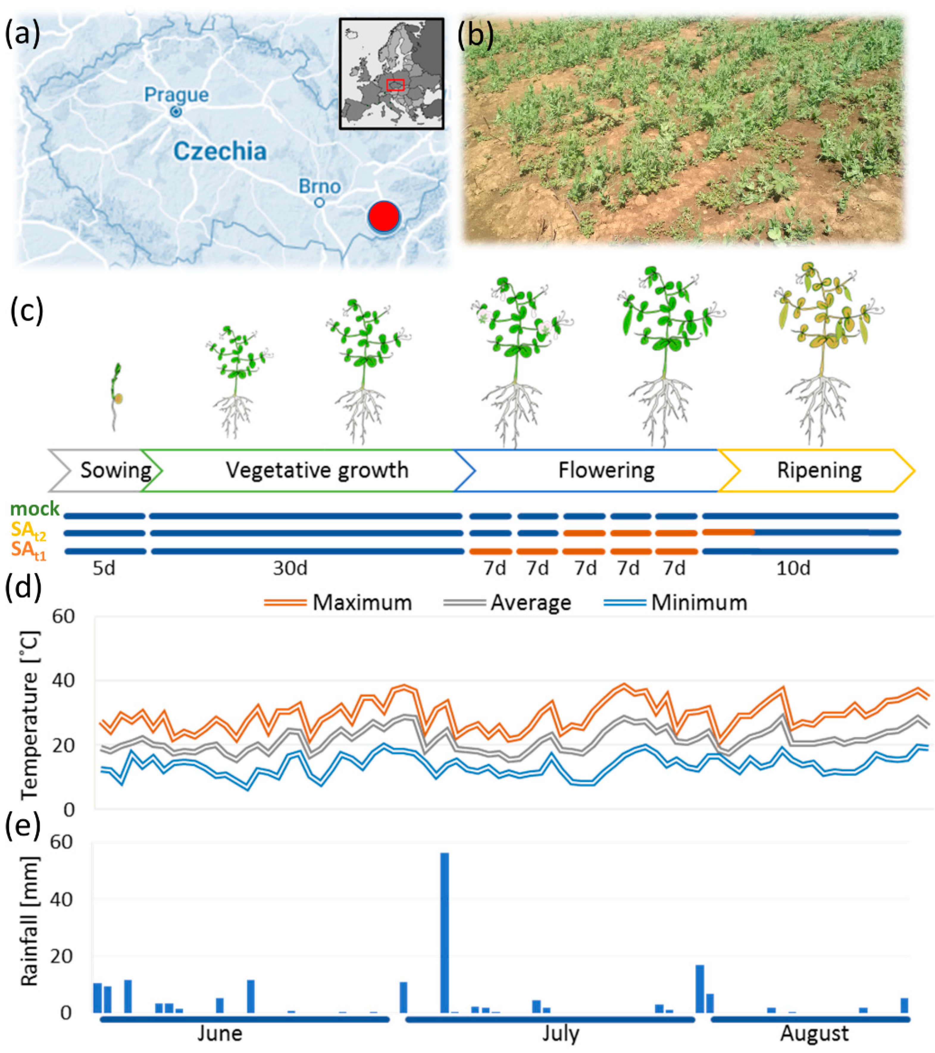 Ijms 24 05454 g001 Ijms 24 05454 g001