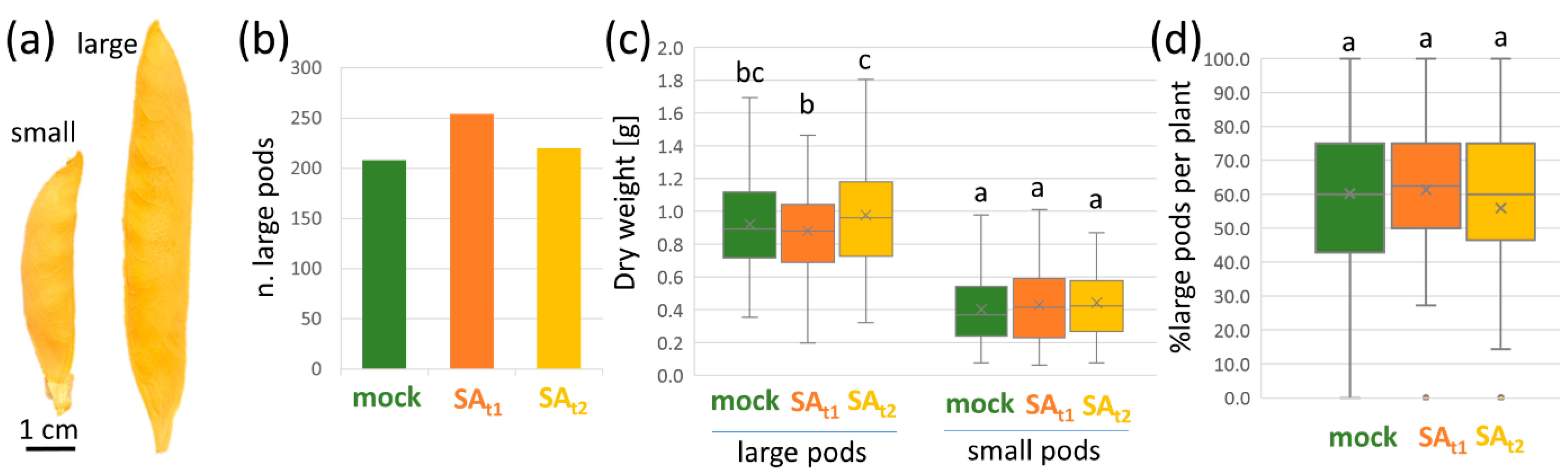 Ijms 24 05454 g002 Ijms 24 05454 g002