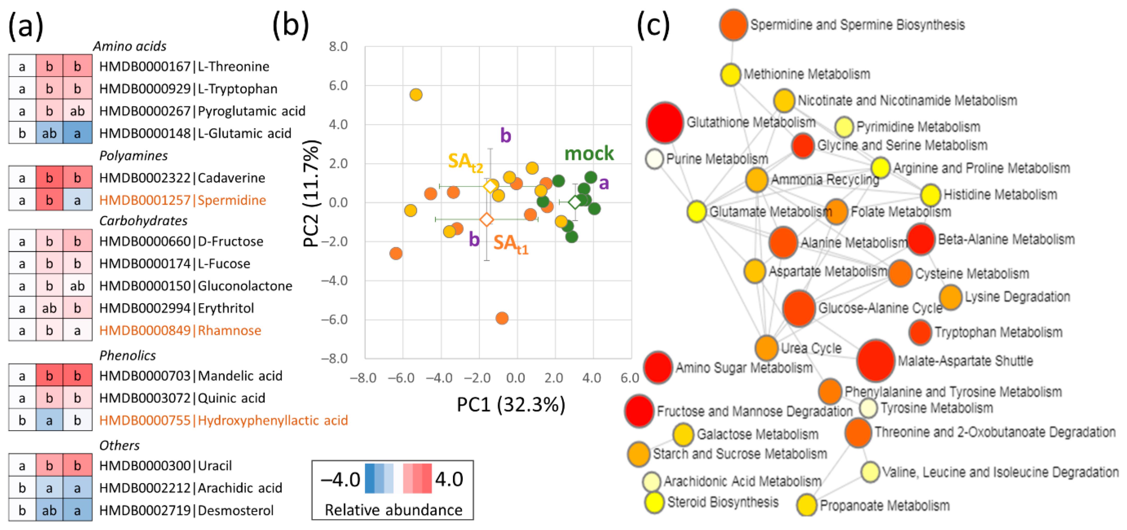 Ijms 24 05454 g006 Ijms 24 05454 g006