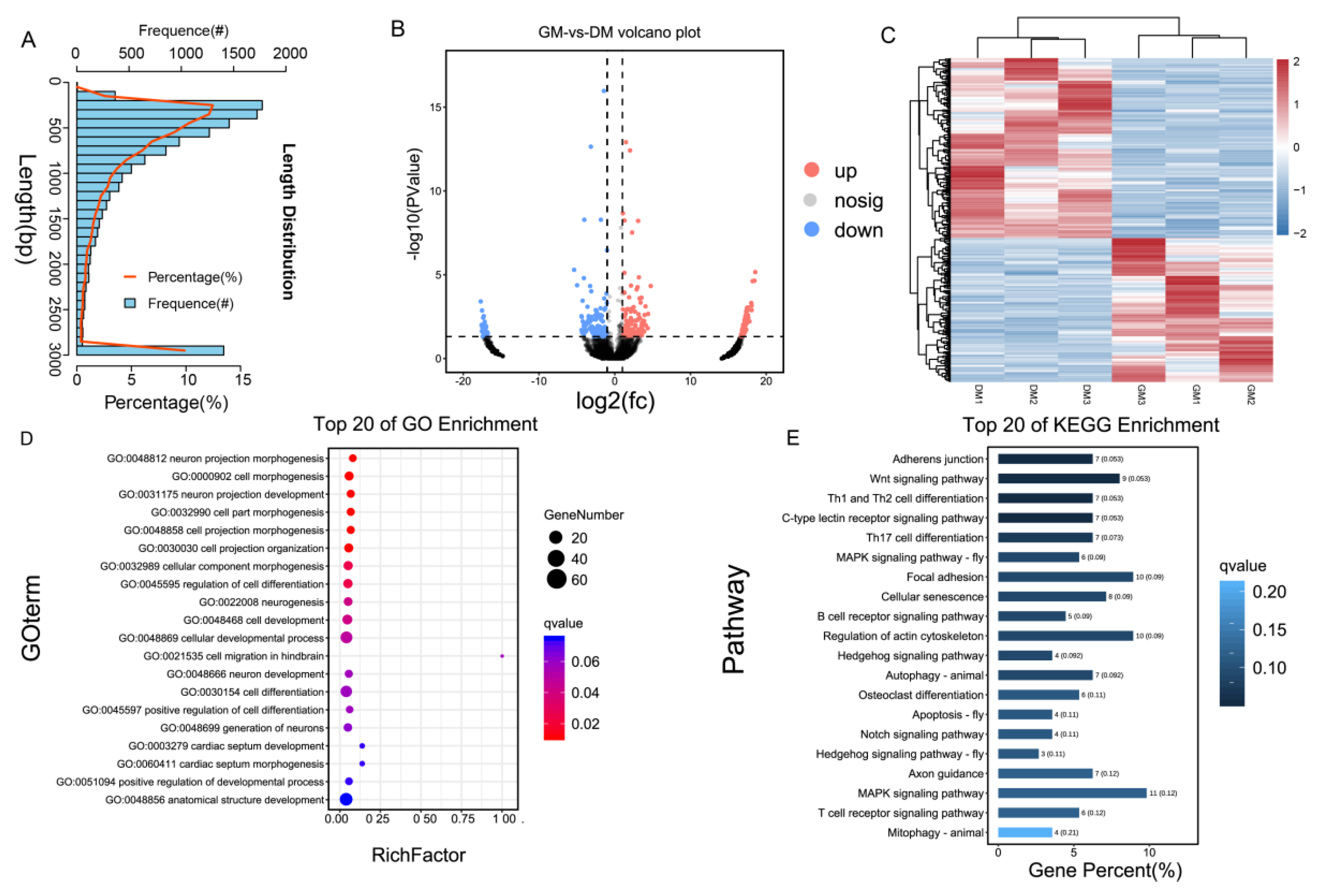 Ijms 24 05459 g001 Ijms 24 05459 g001