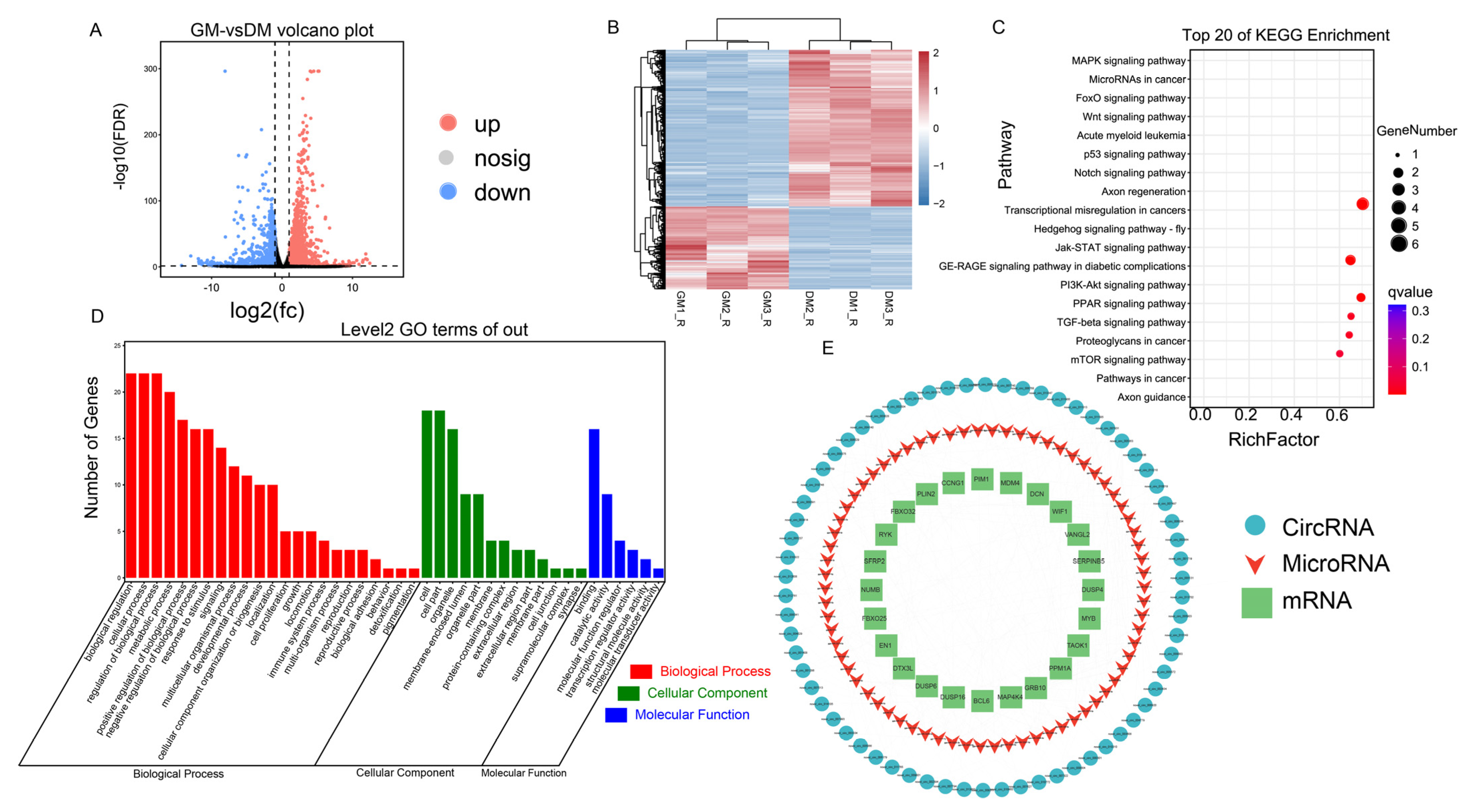 Ijms 24 05459 g002 Ijms 24 05459 g002