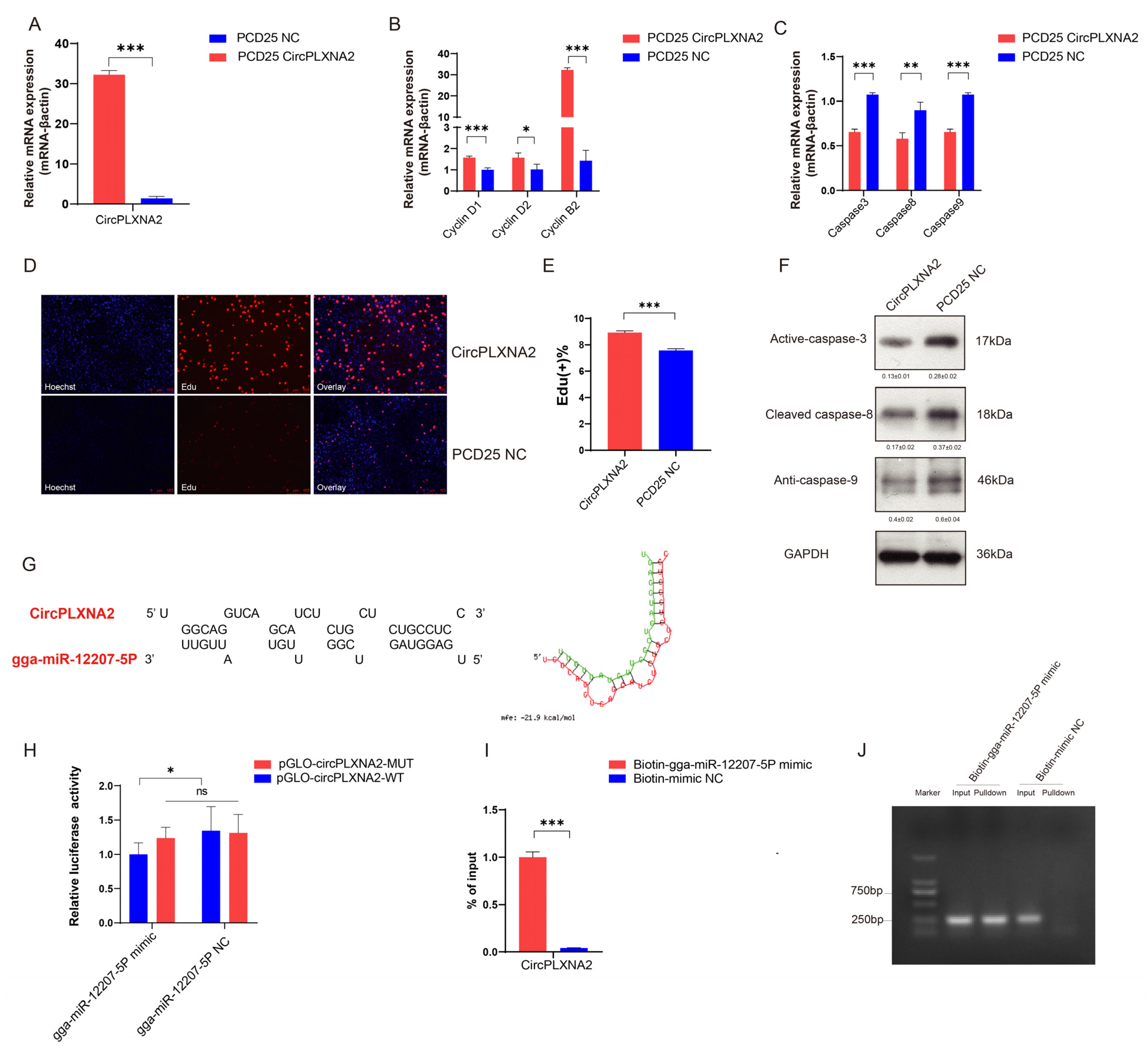 Ijms 24 05459 g004 Ijms 24 05459 g004