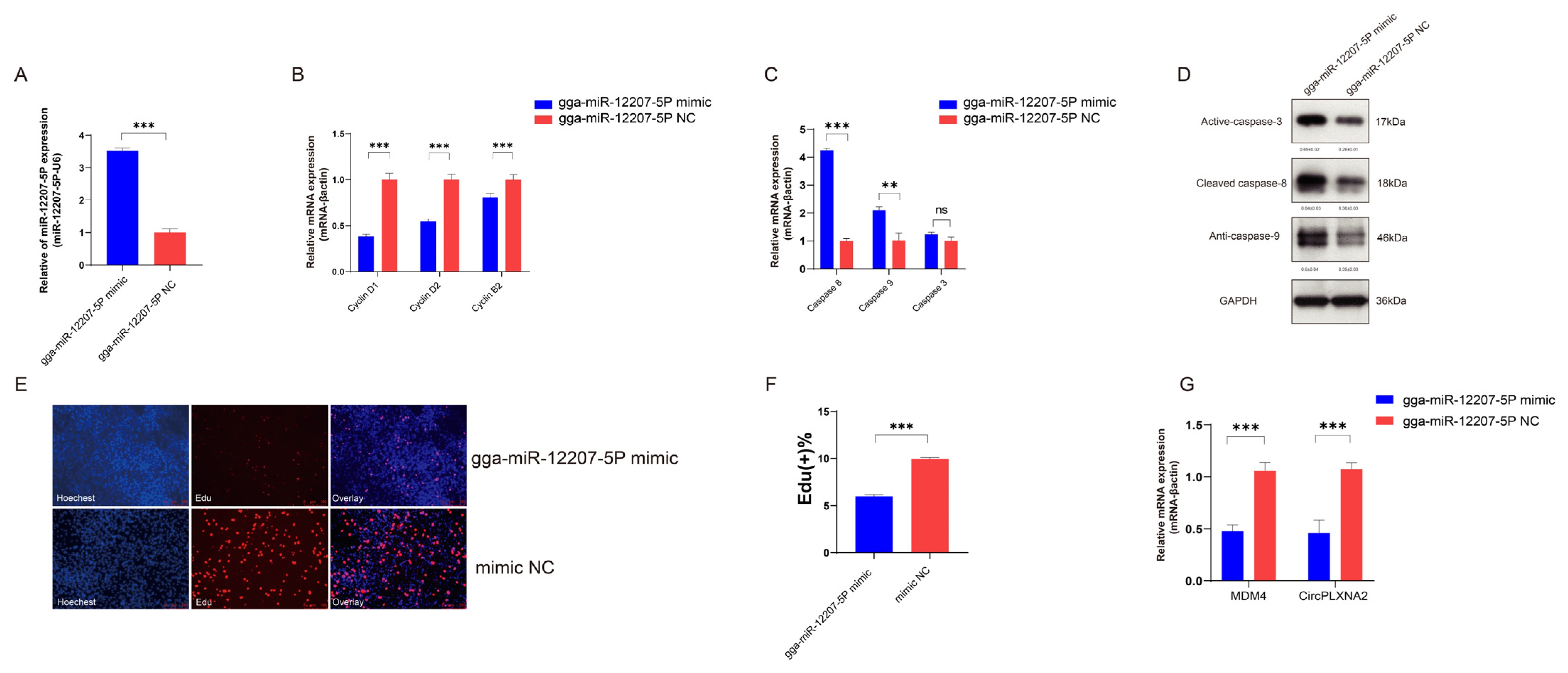 Ijms 24 05459 g005 Ijms 24 05459 g005
