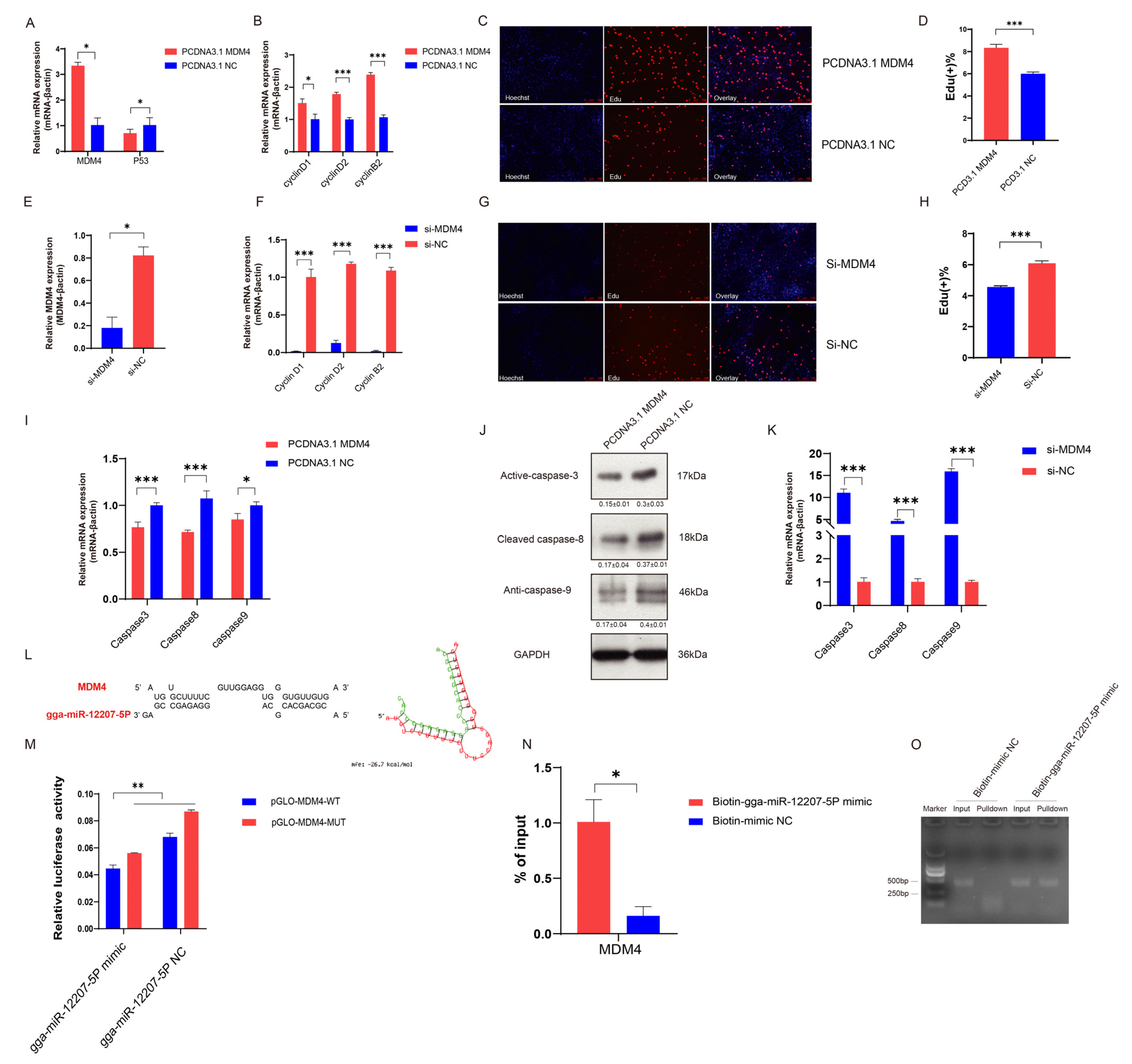 Ijms 24 05459 g006 Ijms 24 05459 g006