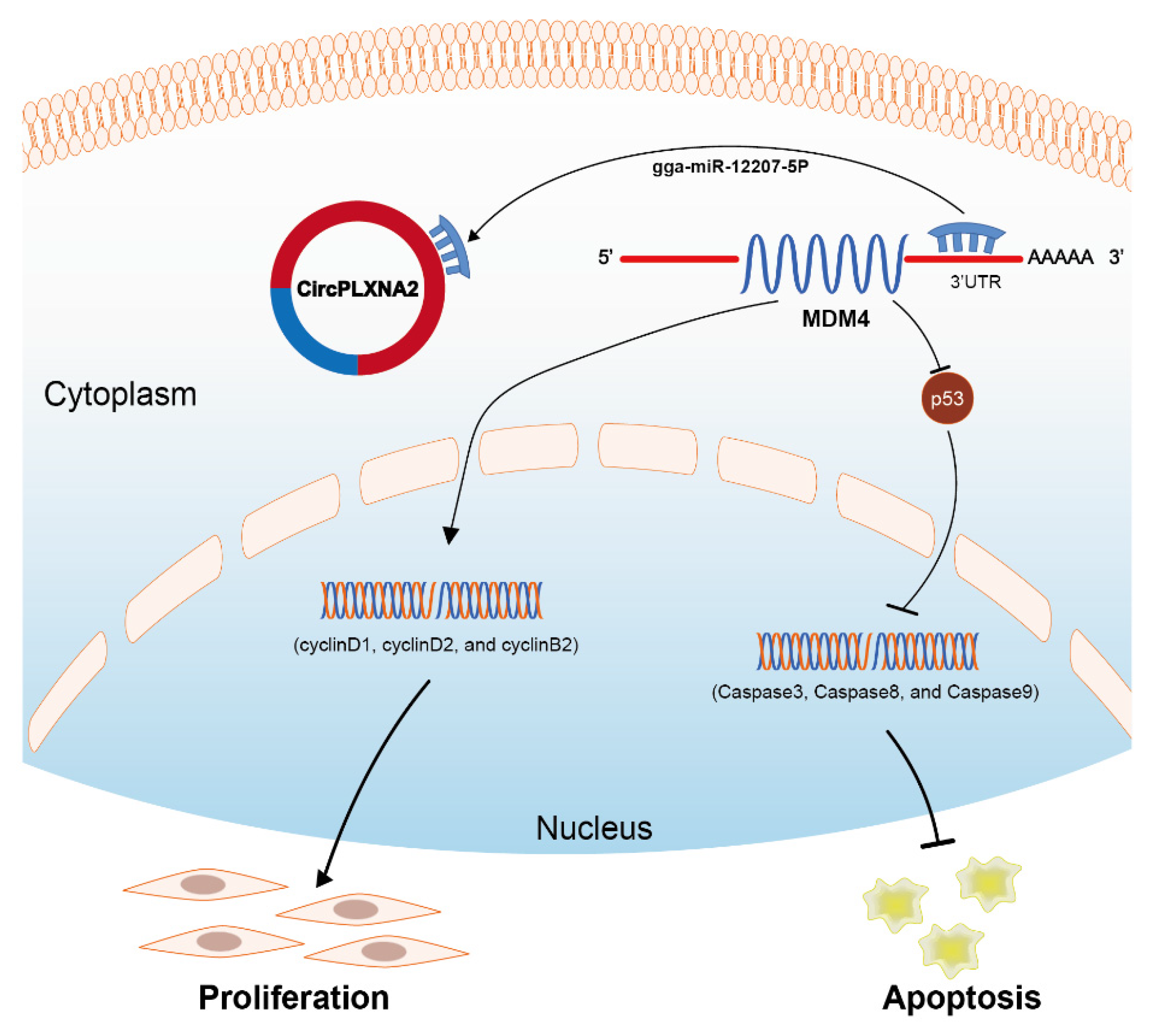 Ijms 24 05459 g008 Ijms 24 05459 g008
