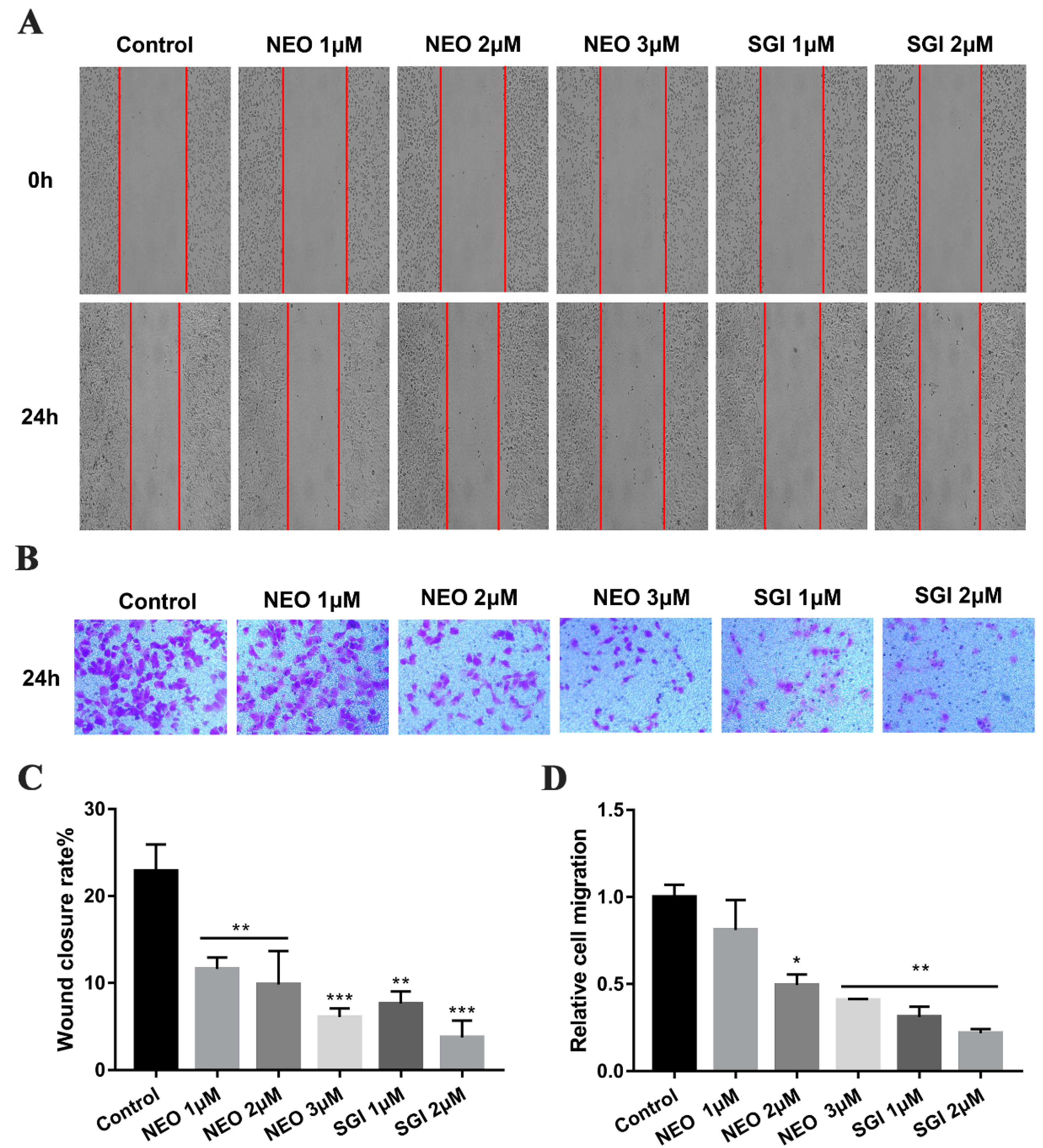 Ijms 24 05464 g002 Ijms 24 05464 g002