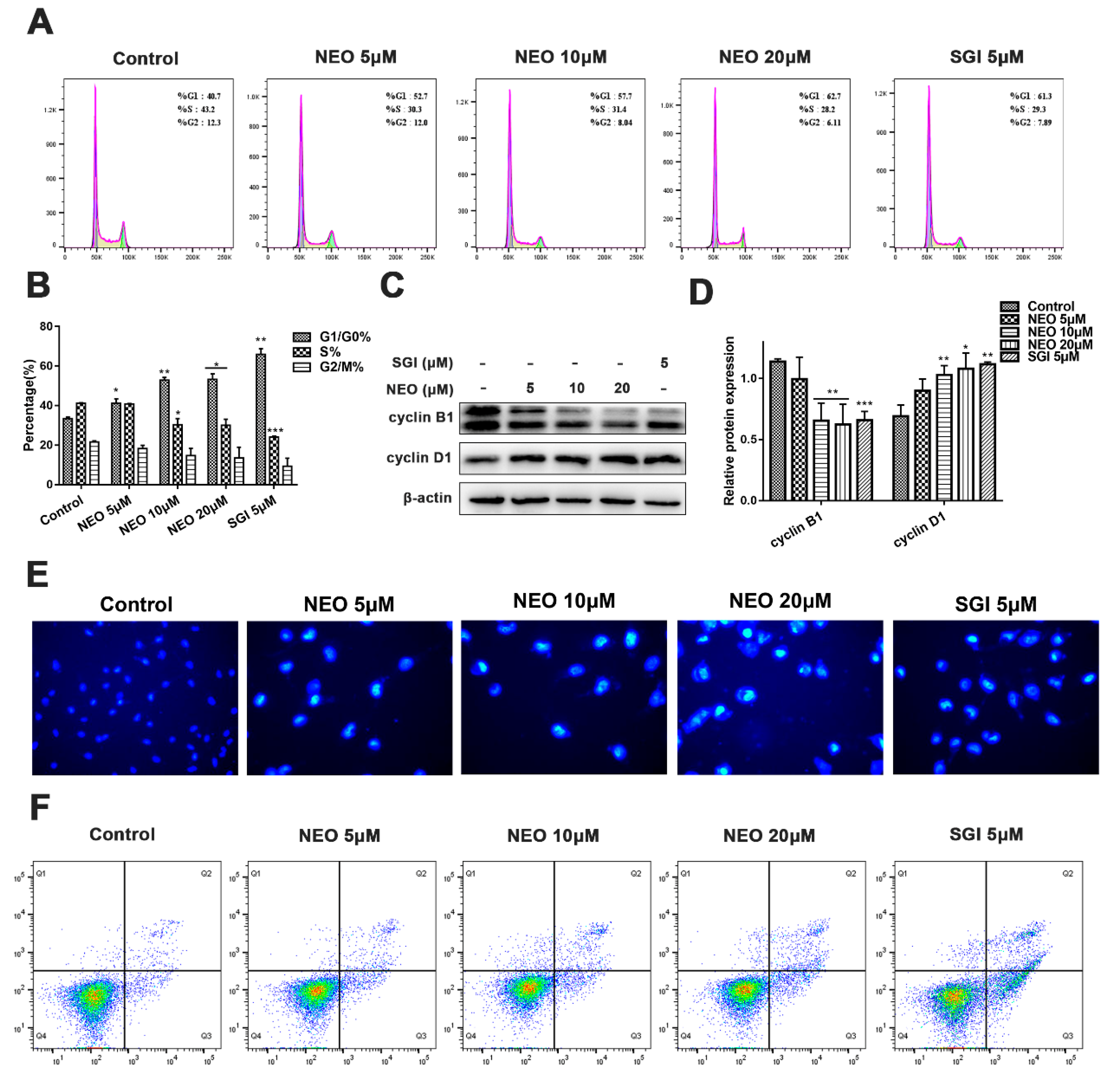 Ijms 24 05464 g005 Ijms 24 05464 g005