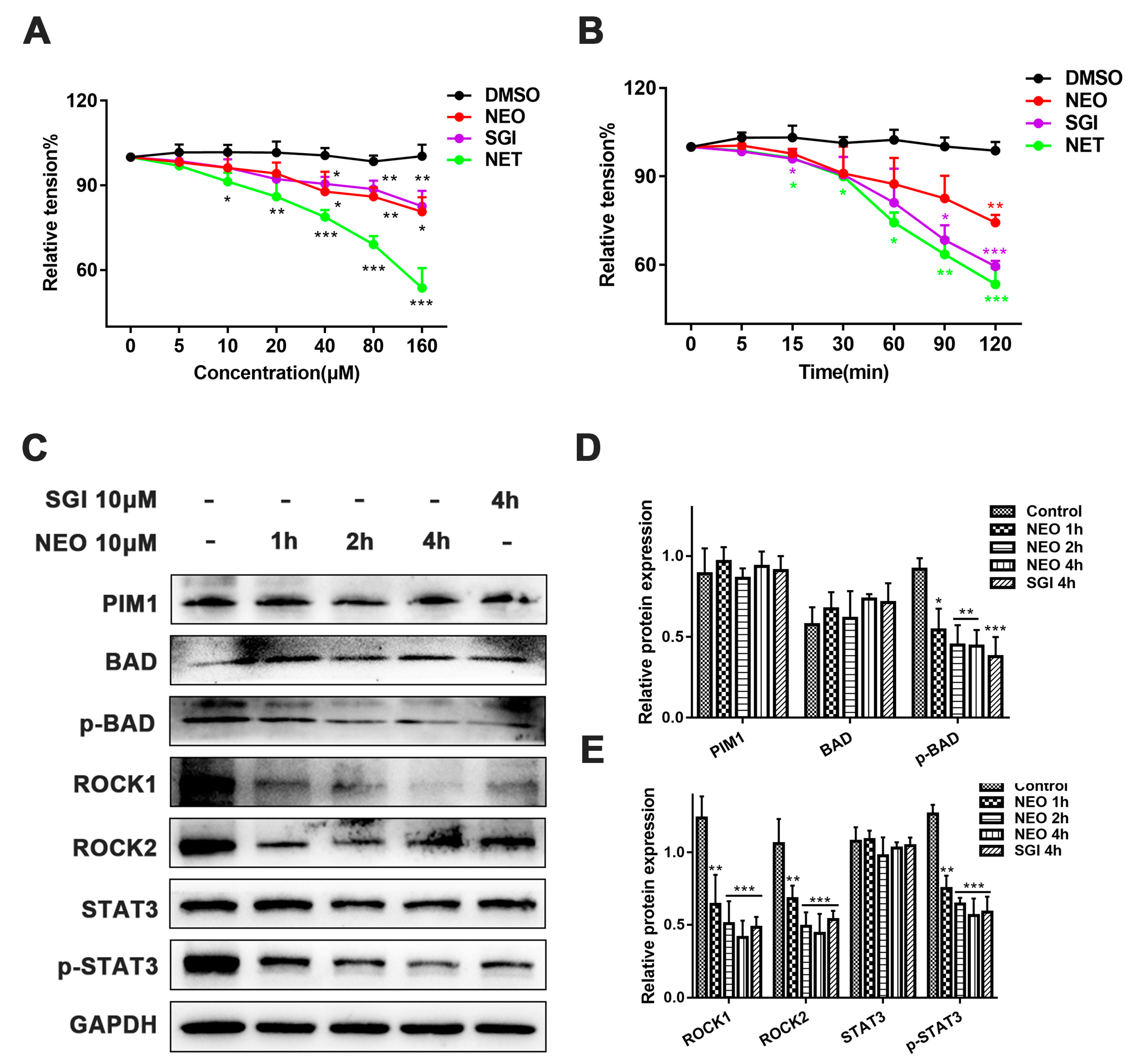 Ijms 24 05464 g008 Ijms 24 05464 g008