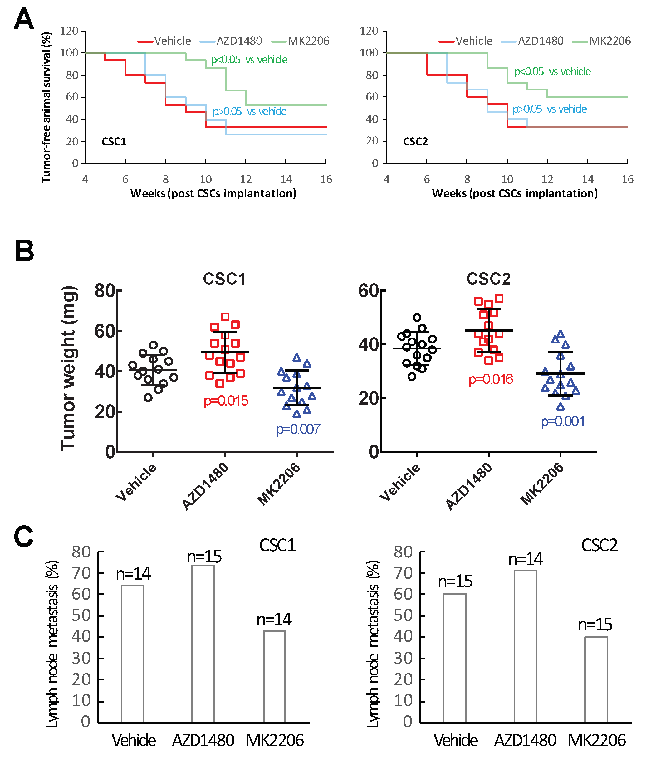 Targeting Tumor Microenvironment Akt Signaling Represents a