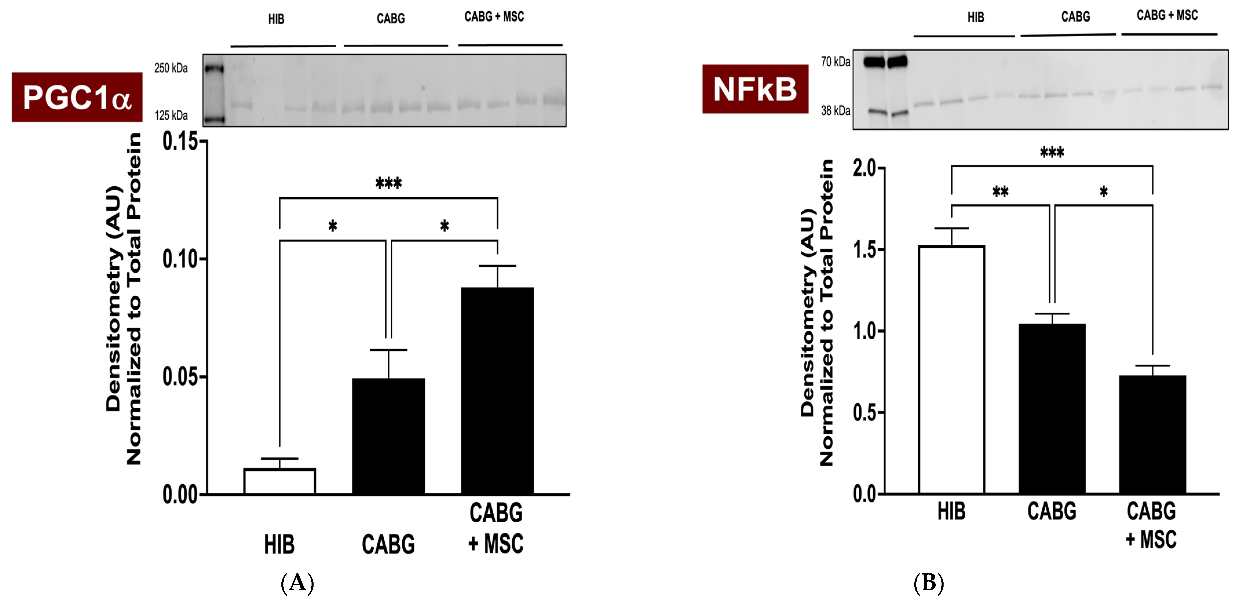 Ijms 24 05475 g003 Ijms 24 05475 g003