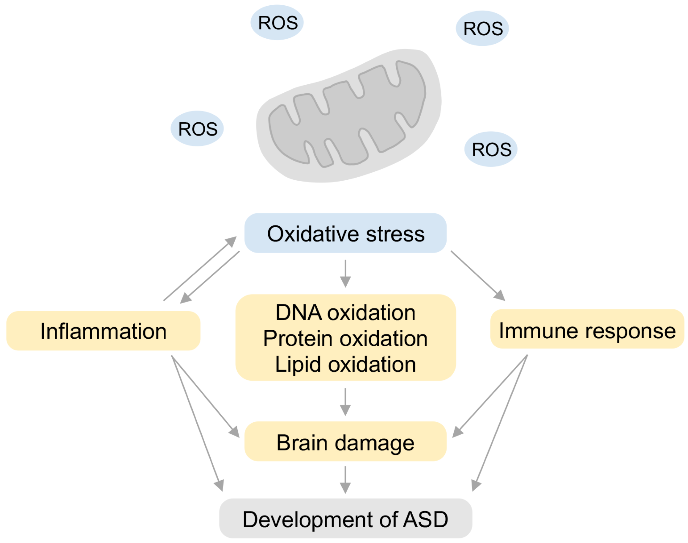 Neuroinflammation and Oxidative Stress in the Pathogenesis Neuroinflammation and Oxidative Stress in the Pathogenesis