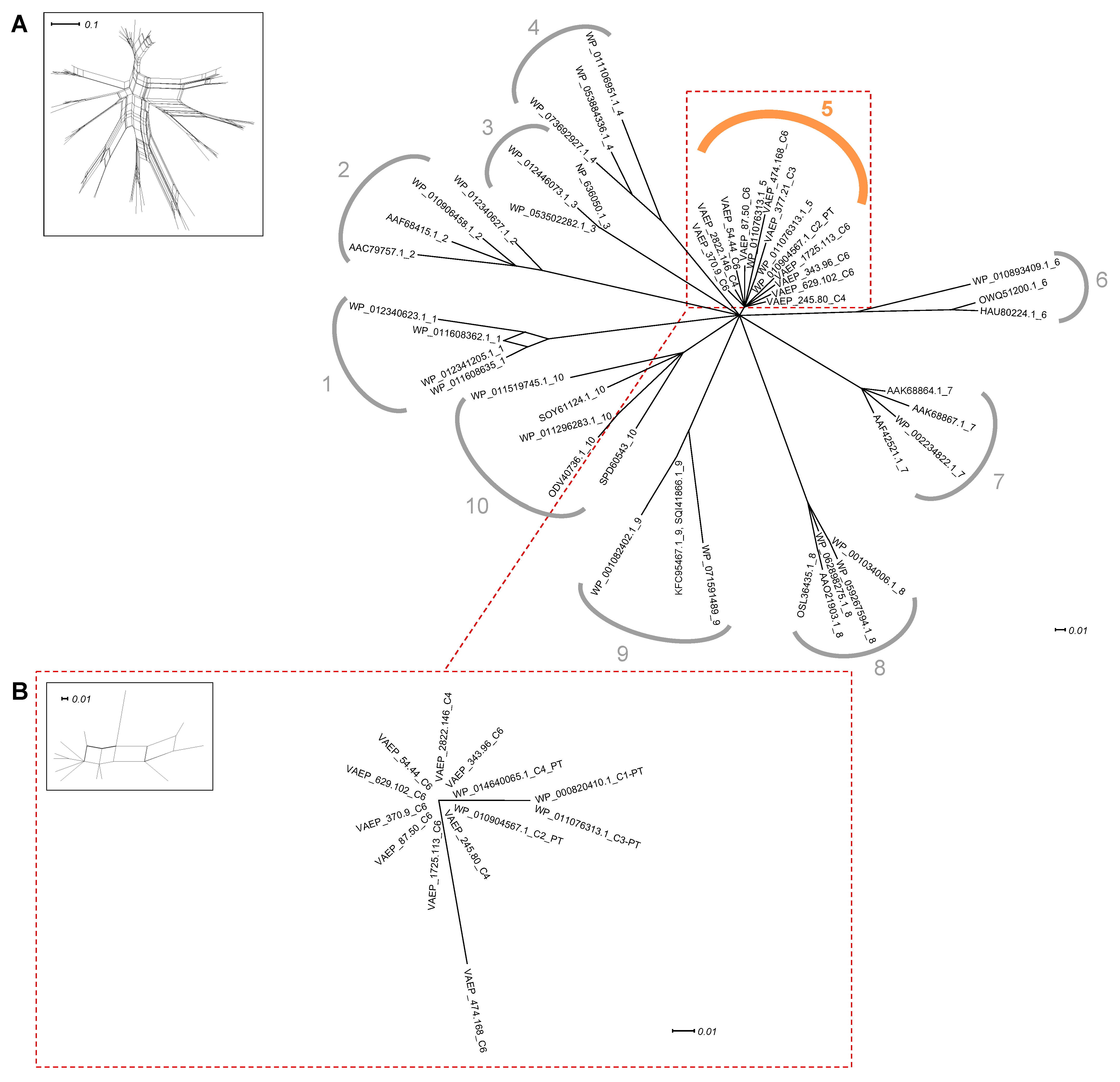 Ijms 24 05500 g005 Ijms 24 05500 g005