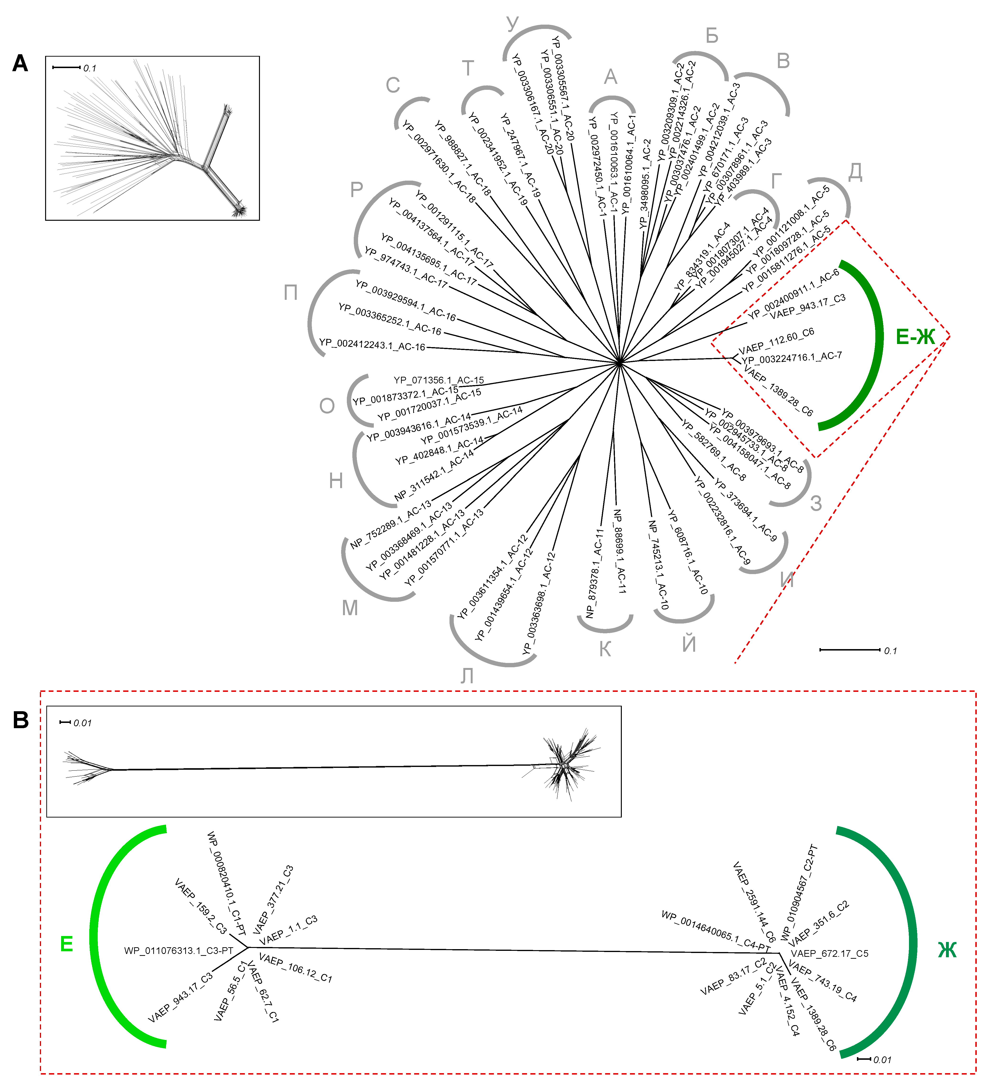 Ijms 24 05500 g006 Ijms 24 05500 g006