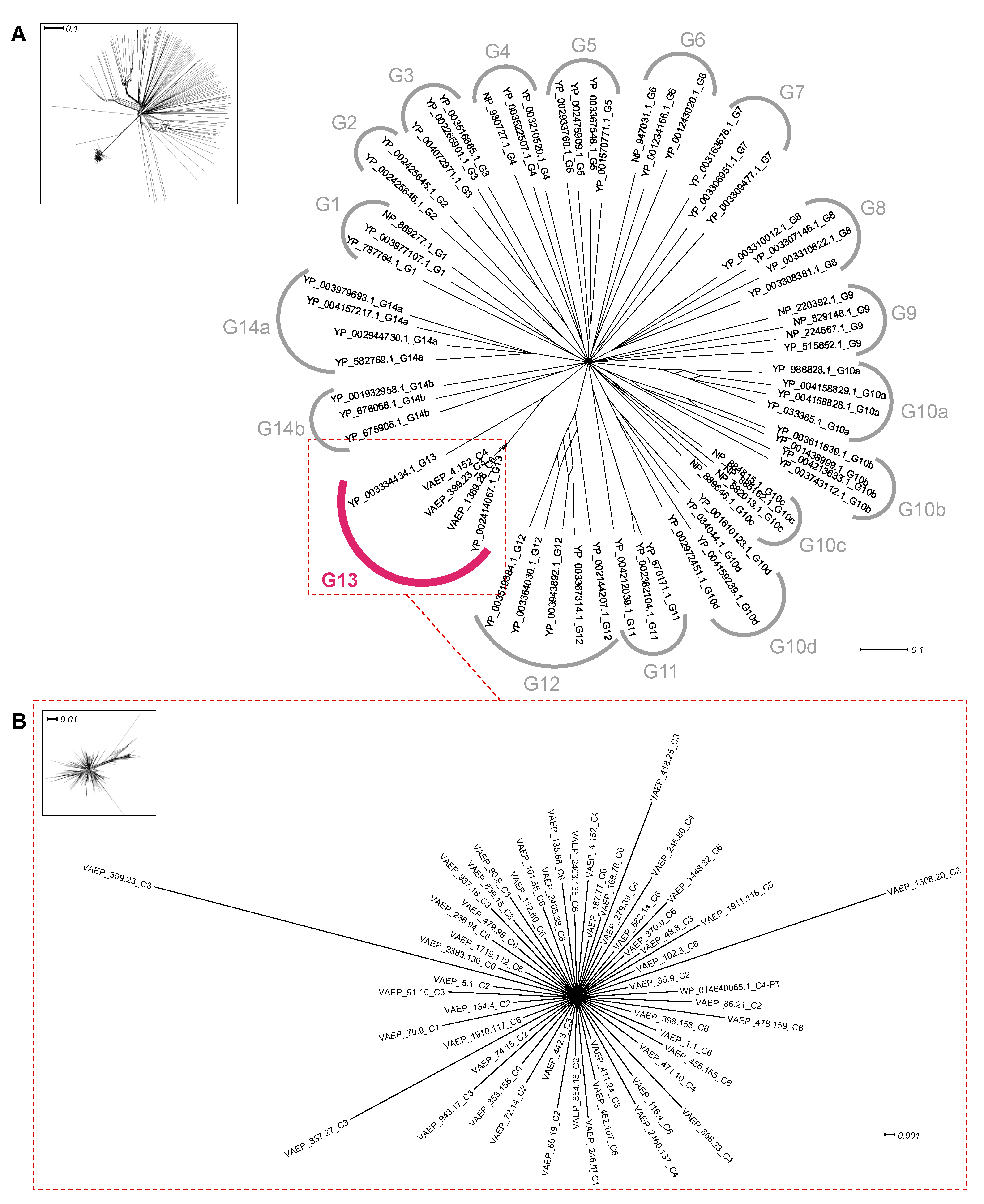 Ijms 24 05500 g007 Ijms 24 05500 g007