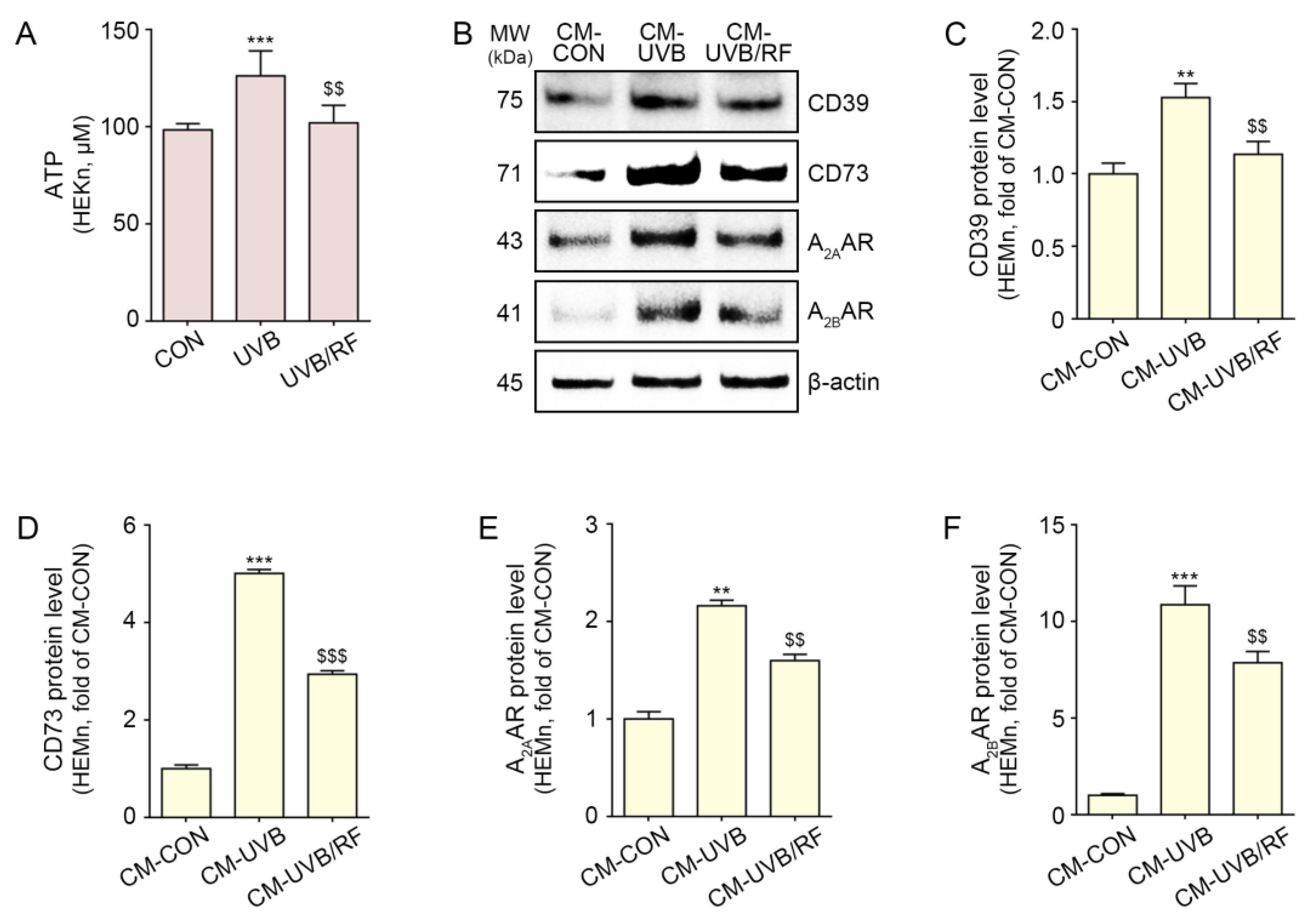 Ijms 24 05506 g001 Ijms 24 05506 g001