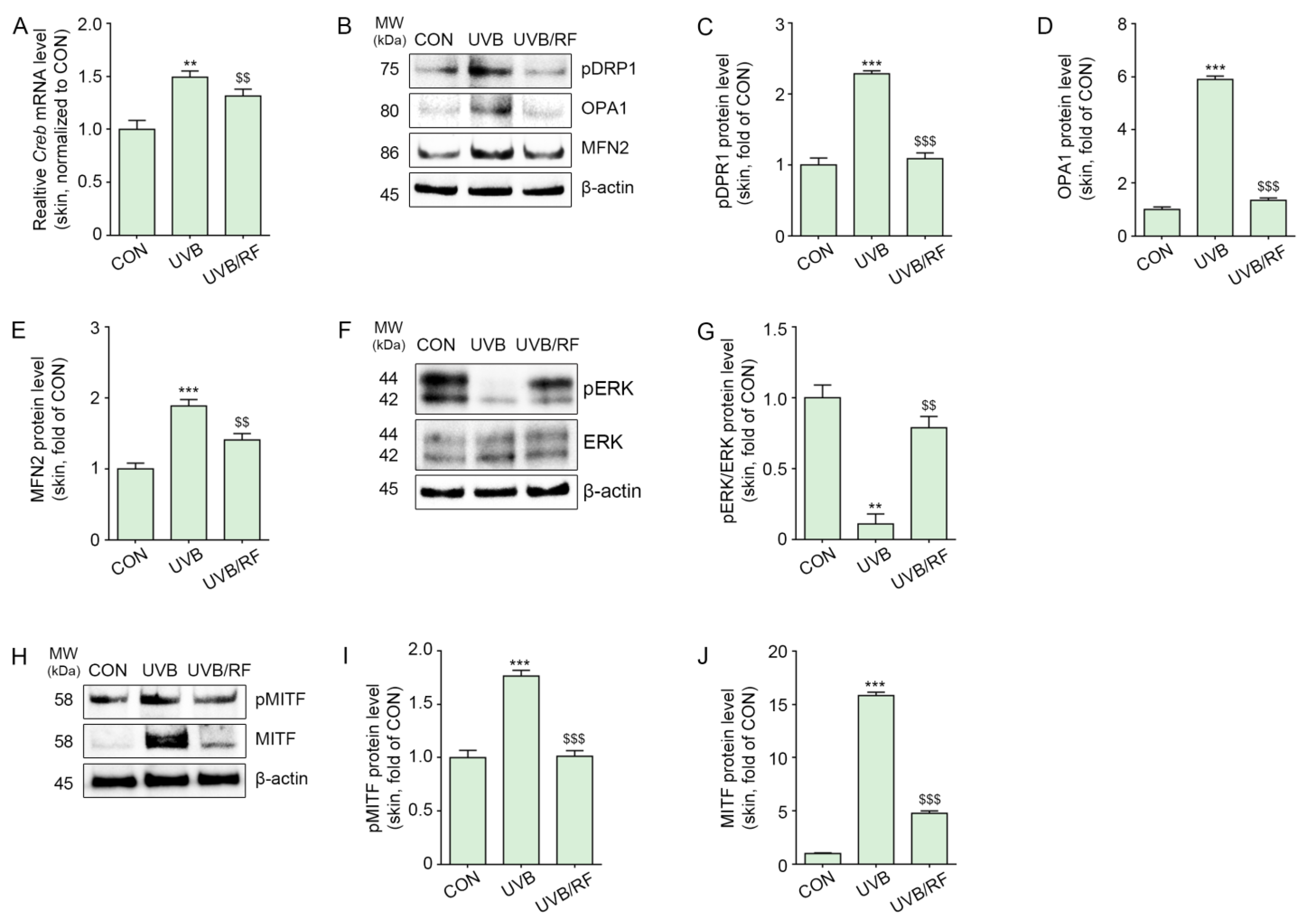 Ijms 24 05506 g004 Ijms 24 05506 g004