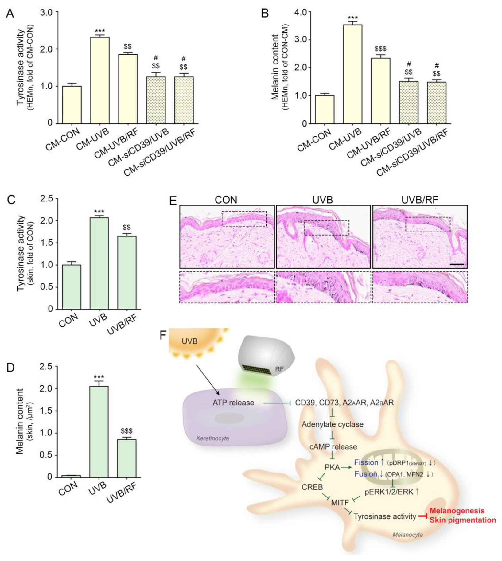 Ijms 24 05506 g005 Ijms 24 05506 g005